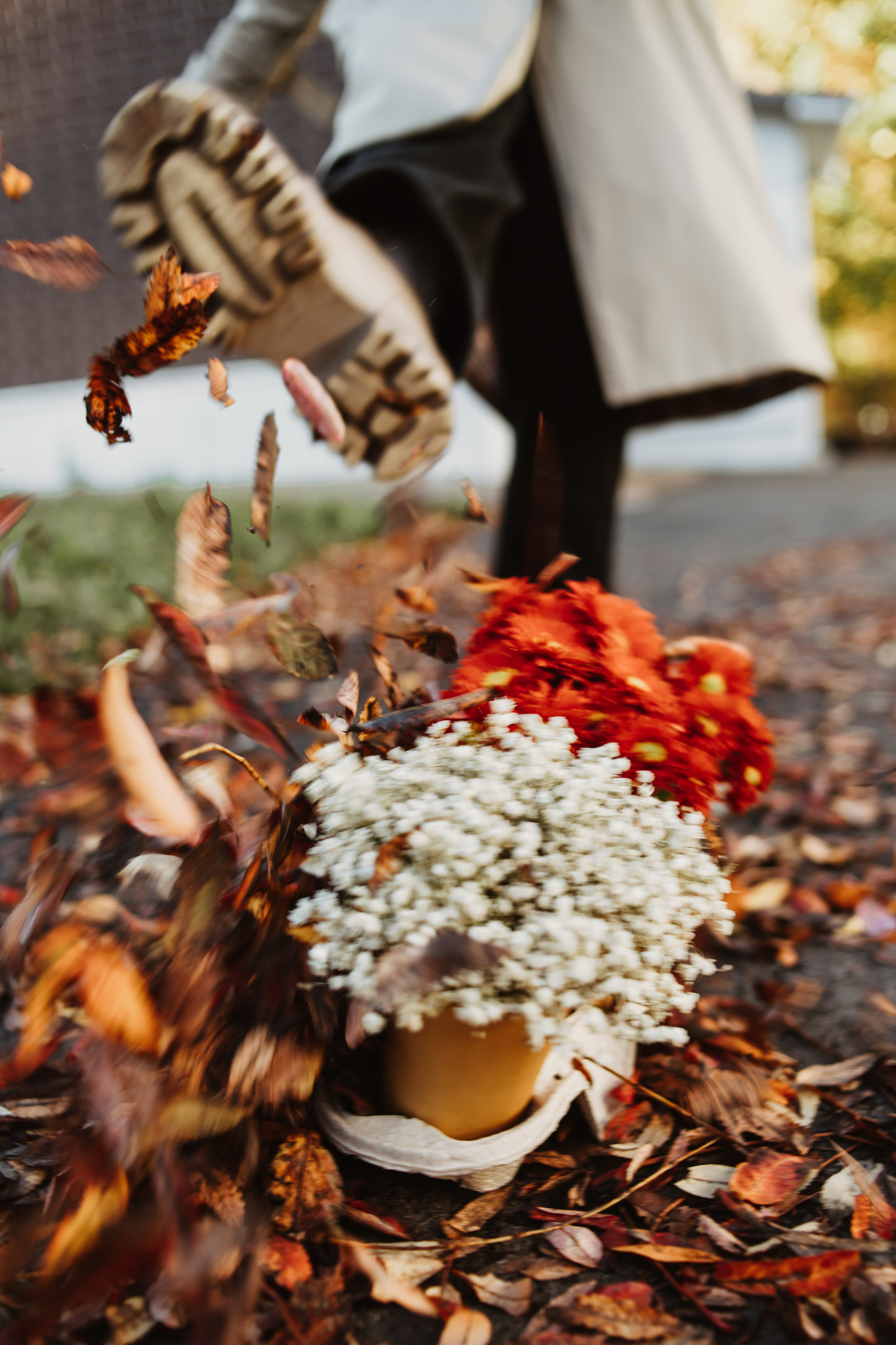 S O F I Y A. Портфолио