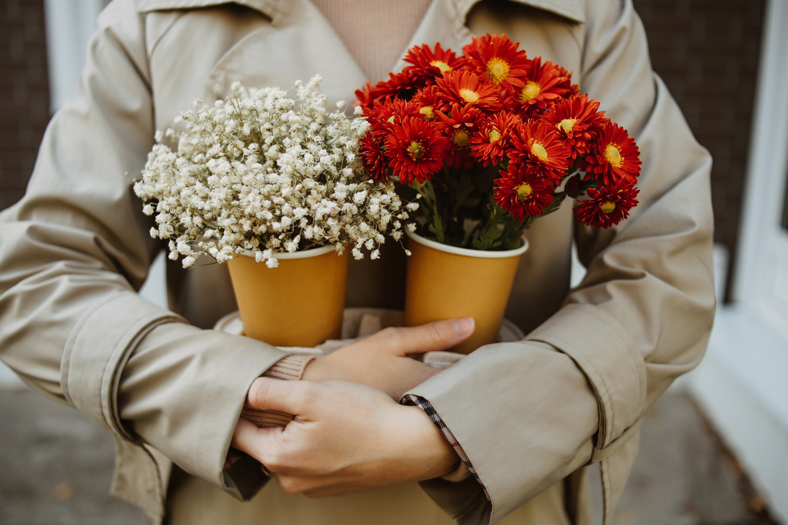 S O F I Y A. Портфолио