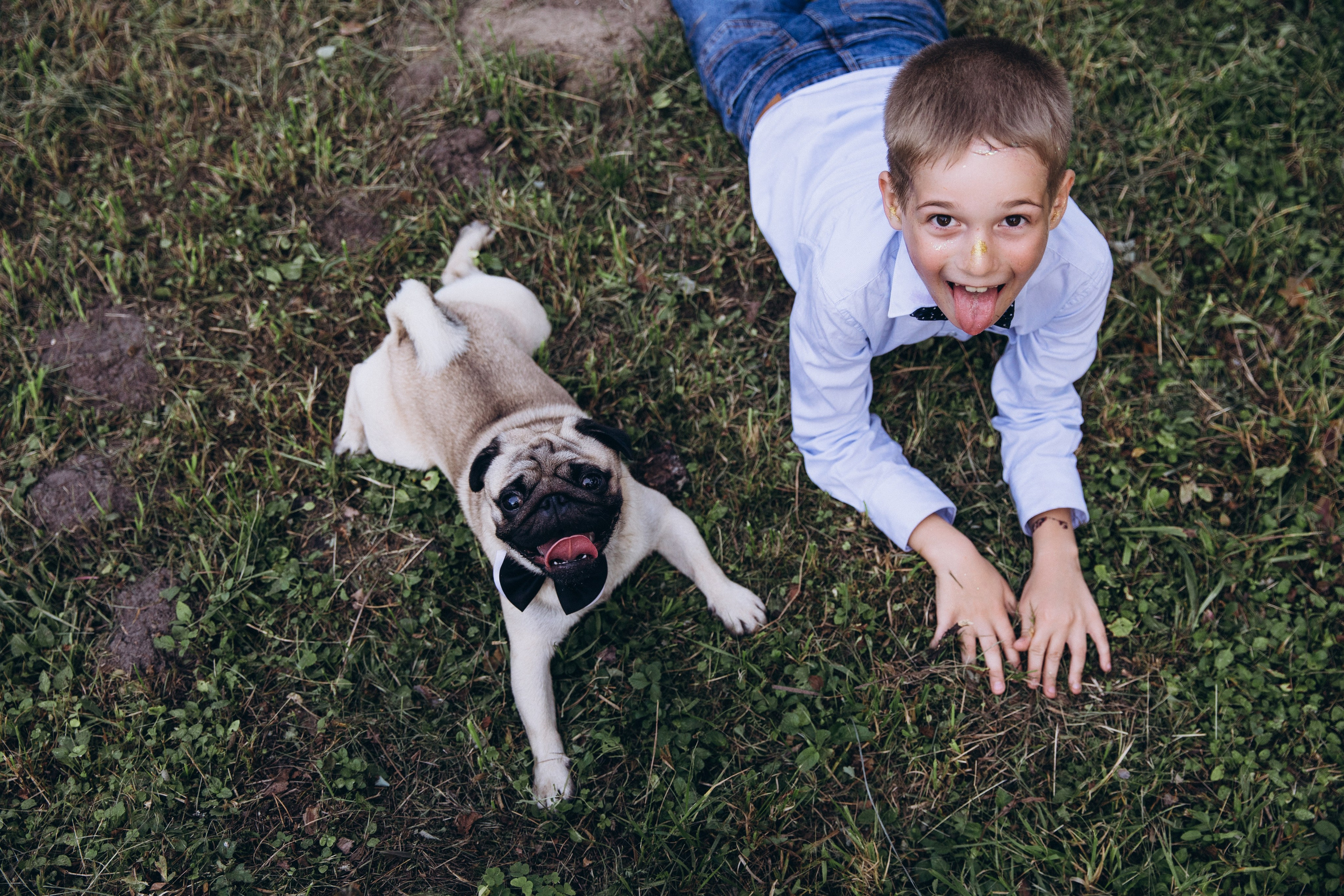 A L E X E Y & L U B O V. Свадебный фотограф в Санкт-Петербурге Илья Михеев