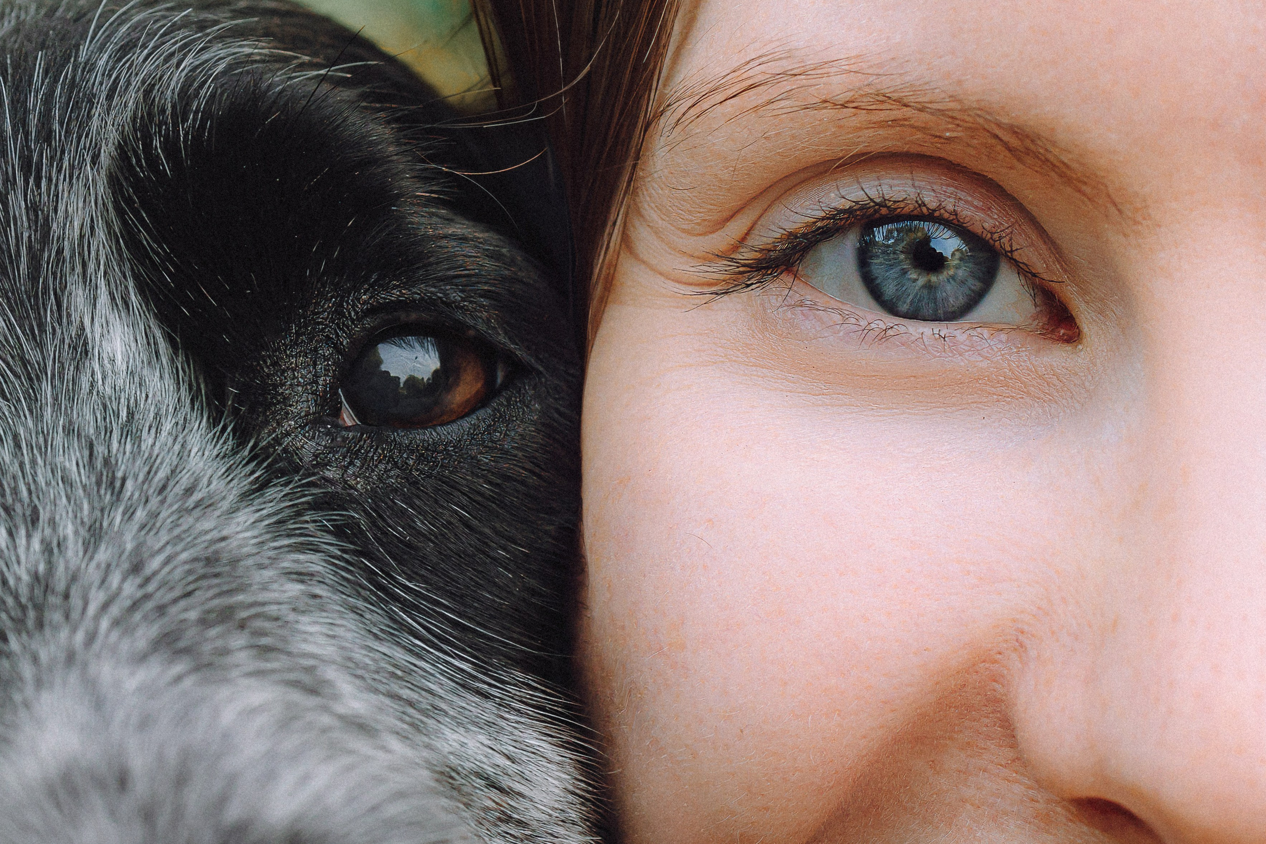 Маша и Ларри