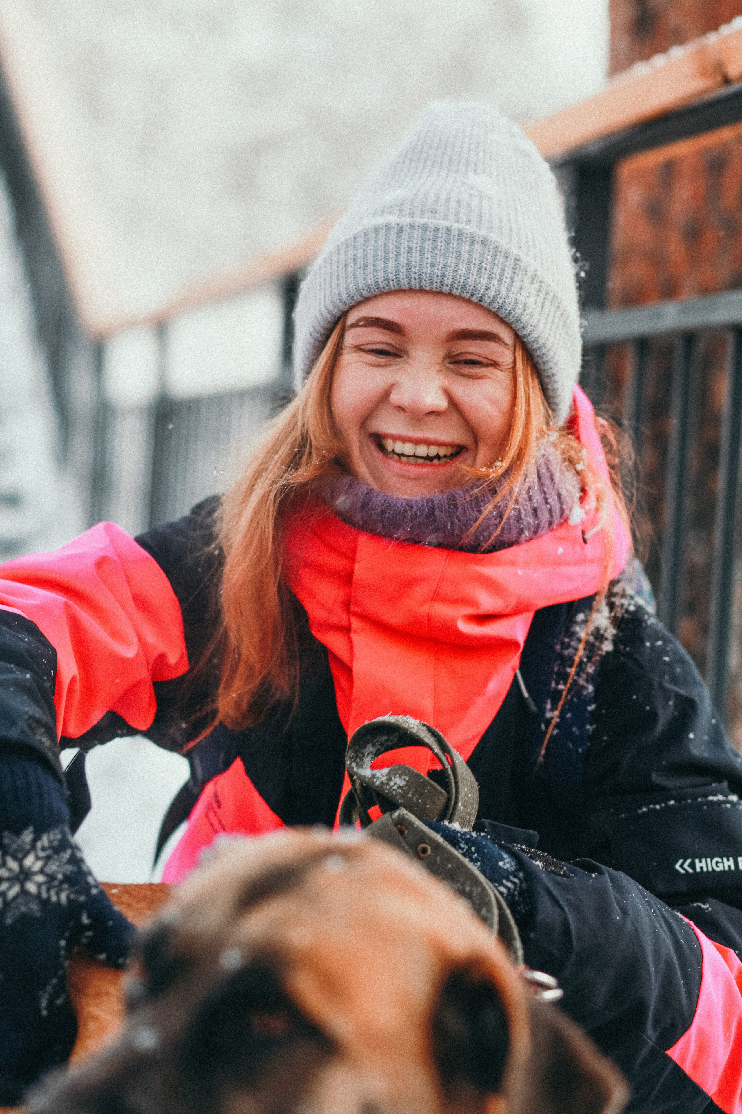 Фотосессии собак. Фотограф Дарья Локотко в Красноярске