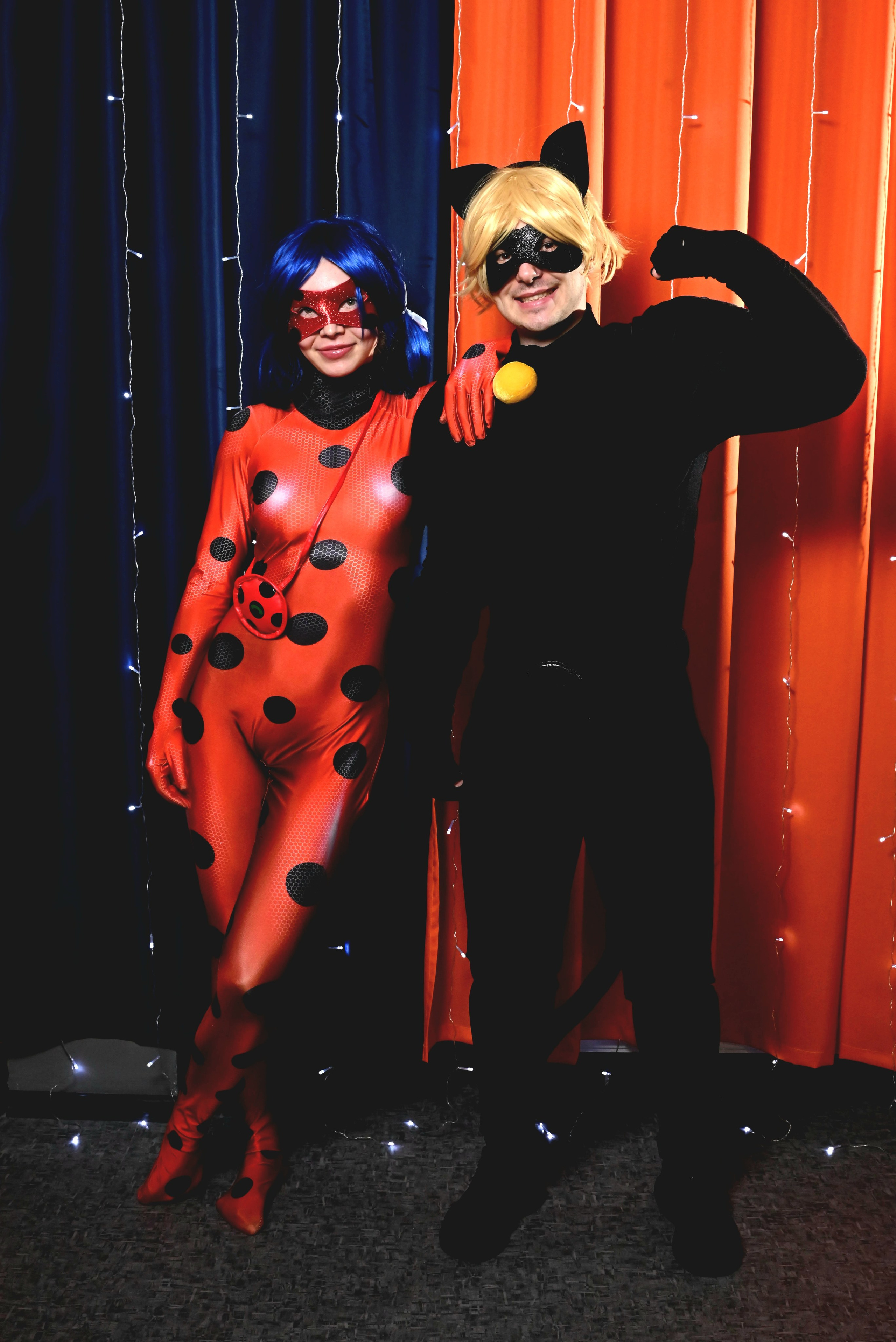 Черный кот и божья коровка. Девятое королевство