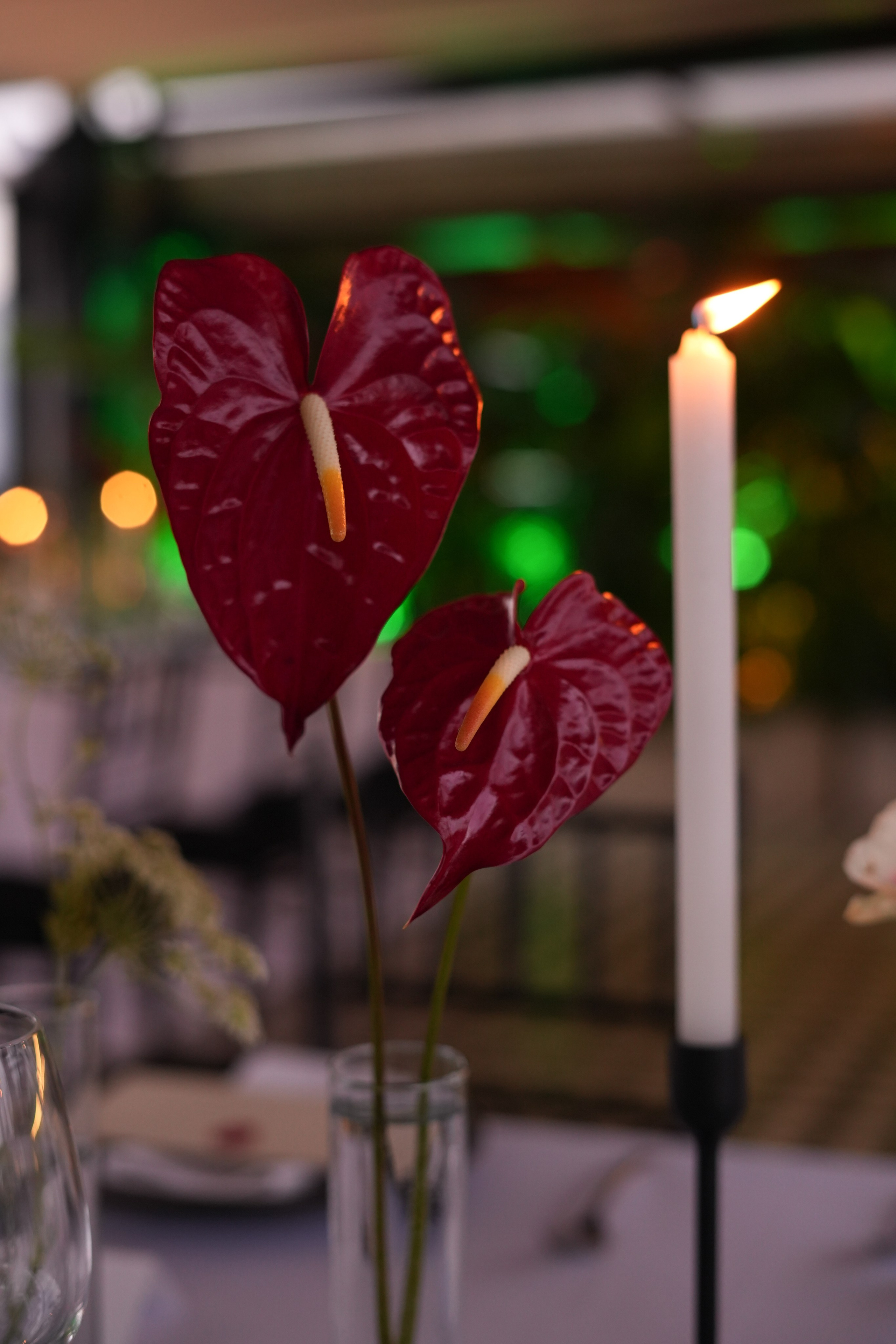 Olivia and Zack / 1 wedding day. Wedding Photographer in Barcelona and Medellin