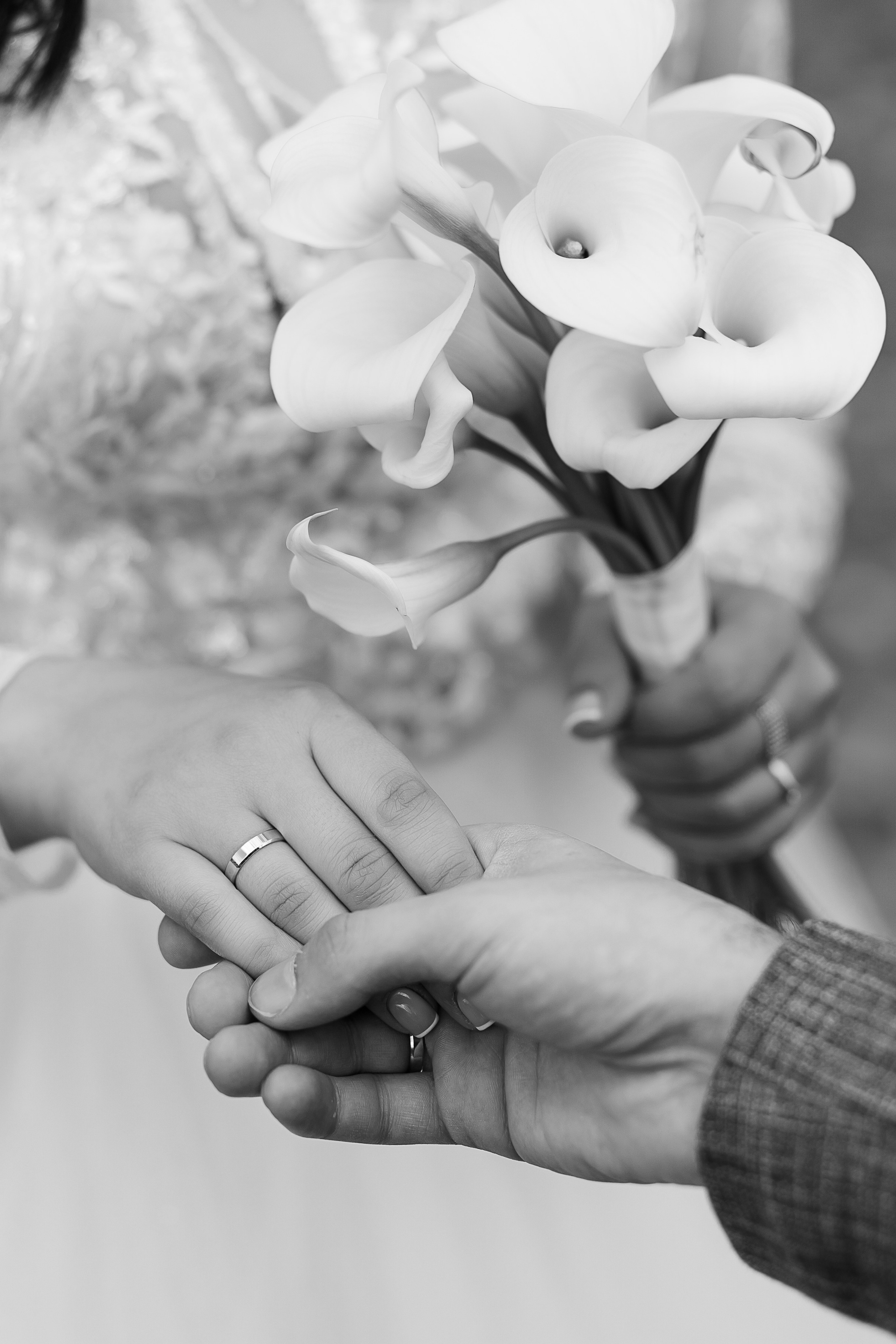 Александр и Екатерина. Свадебный и семейный фотограф в Твери и Тверской области