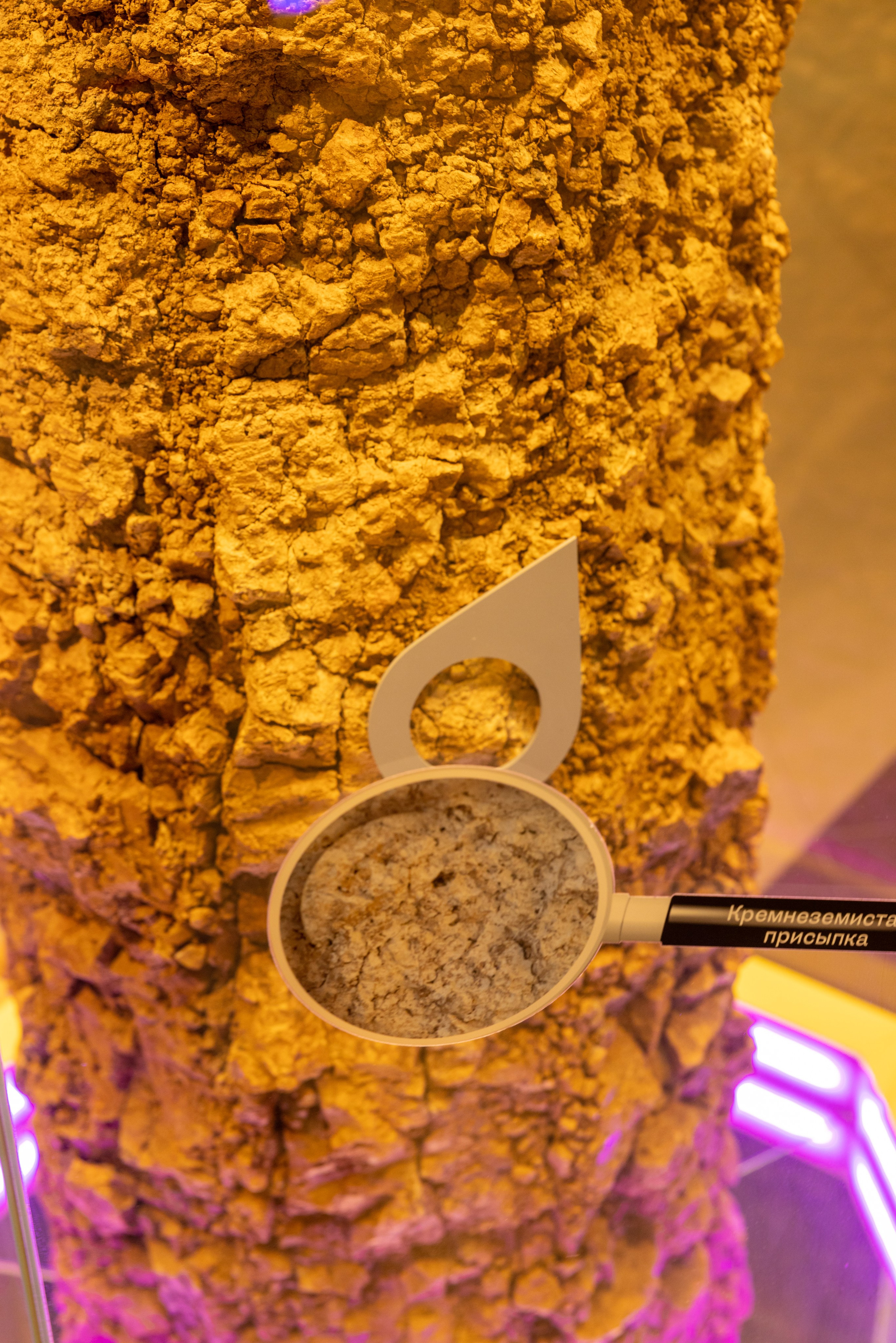 Поездка на поле Кулеково. Фотограф в Туле Крупский АнДРей. Фотостудия «КАДР71» в Туле