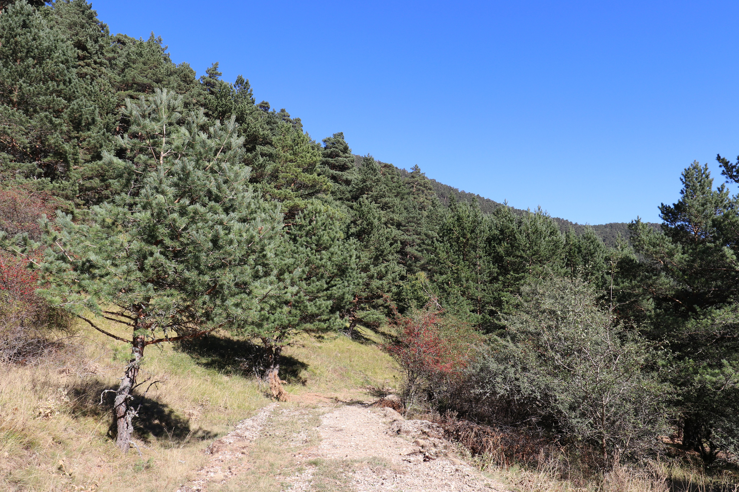 Крым. ЮБК (Фиолент, Ай-Петри, Роман-Кош). Знакомство. Октябрь 2017. Путешественник-фотограф из Санкт-Петербурга Татьяна Свистулина