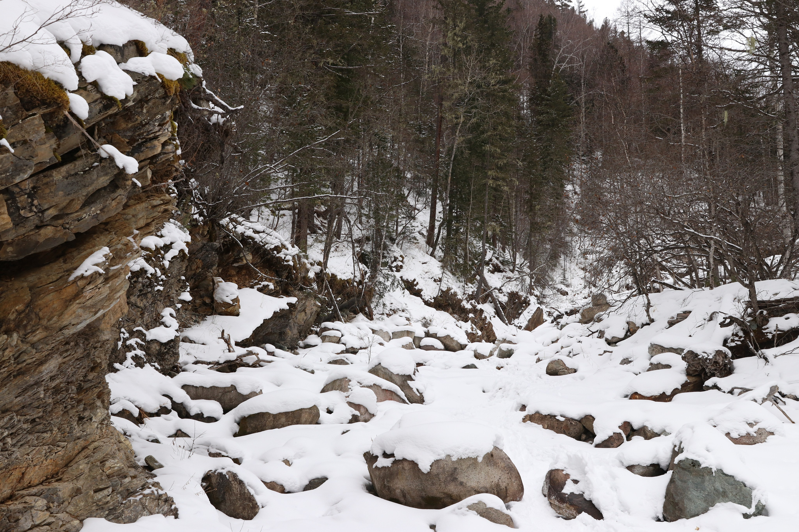 Аршан. Январь 2024. Путешественник-фотограф из Санкт-Петербурга Татьяна Свистулина