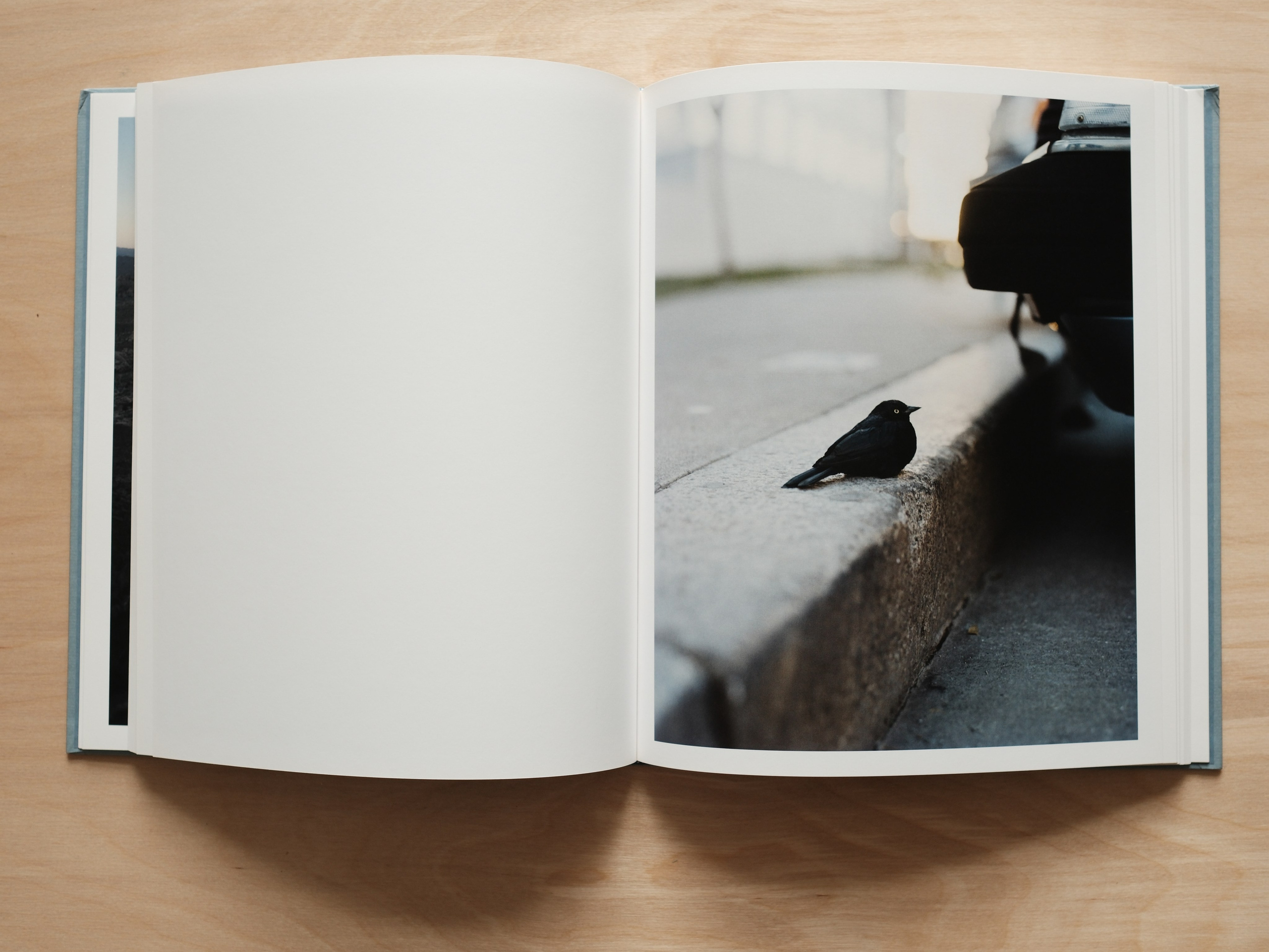 Фотокнижная библиотека Ксении Плотниковой. Фотограф и исследователь фотографии из Санкт-Петербурга Елизавета Веприцкая