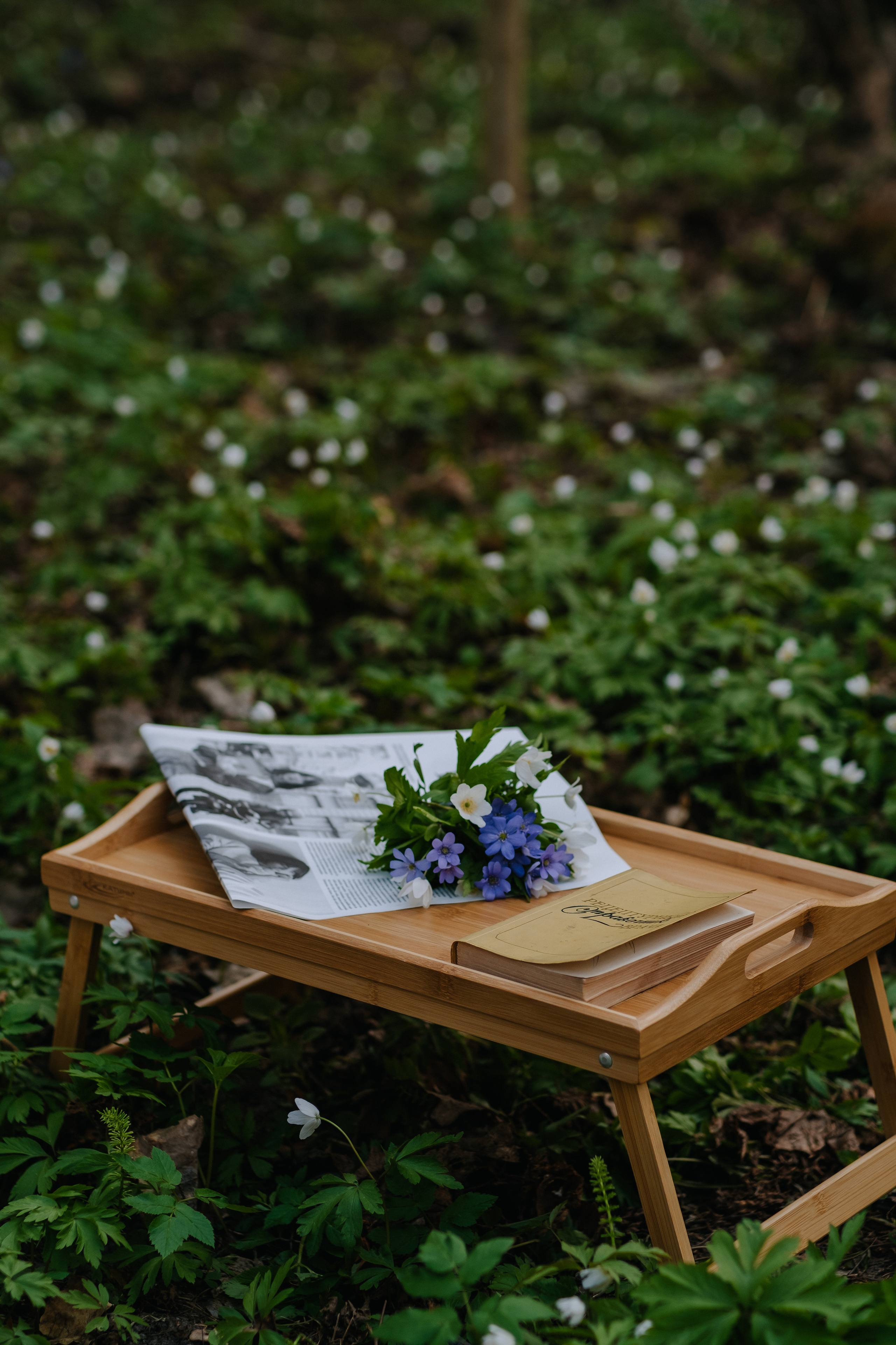 Девочка-весна. Фотограф Москва, Смоленск