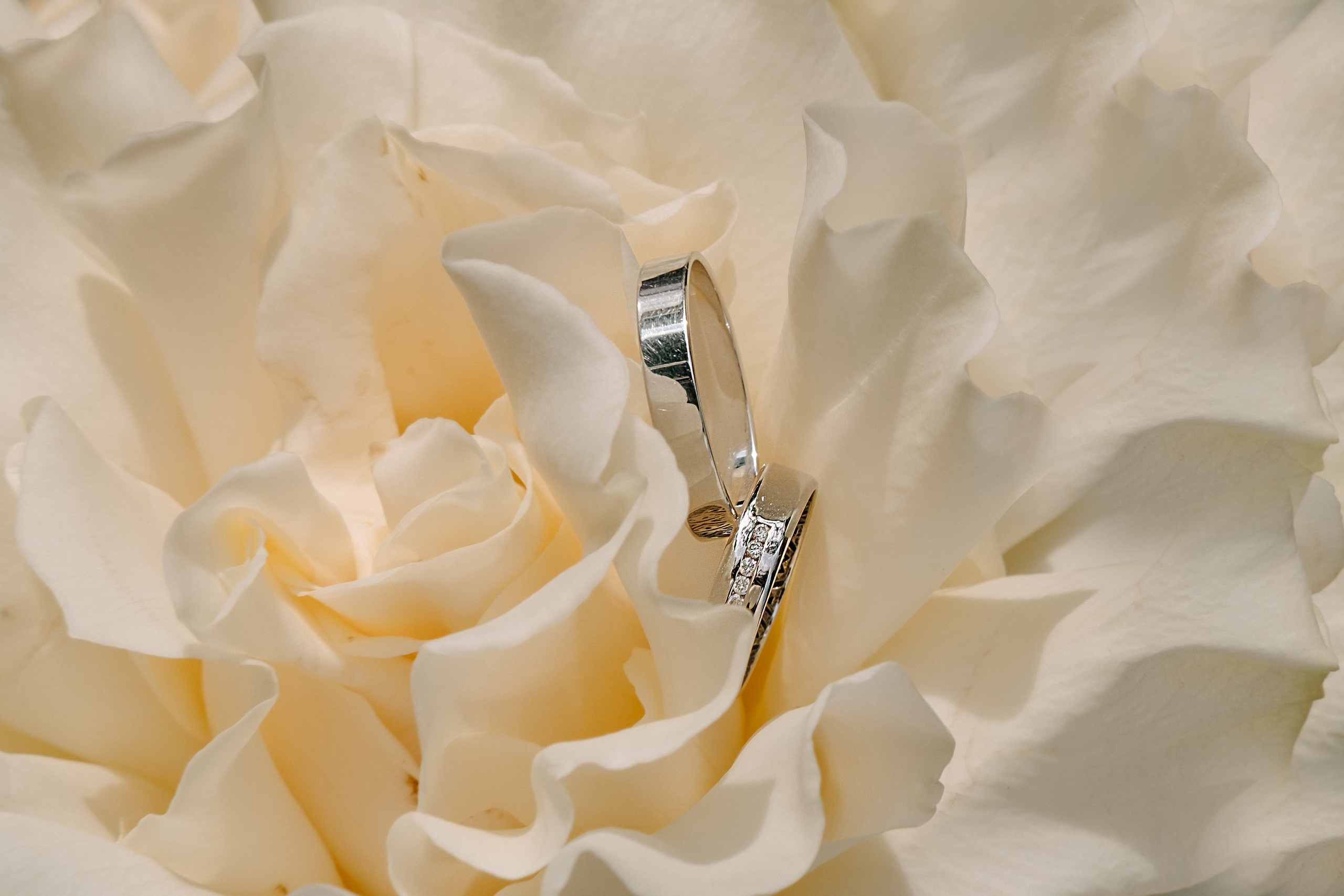 Нежность. Фотограф Москва, Смоленск