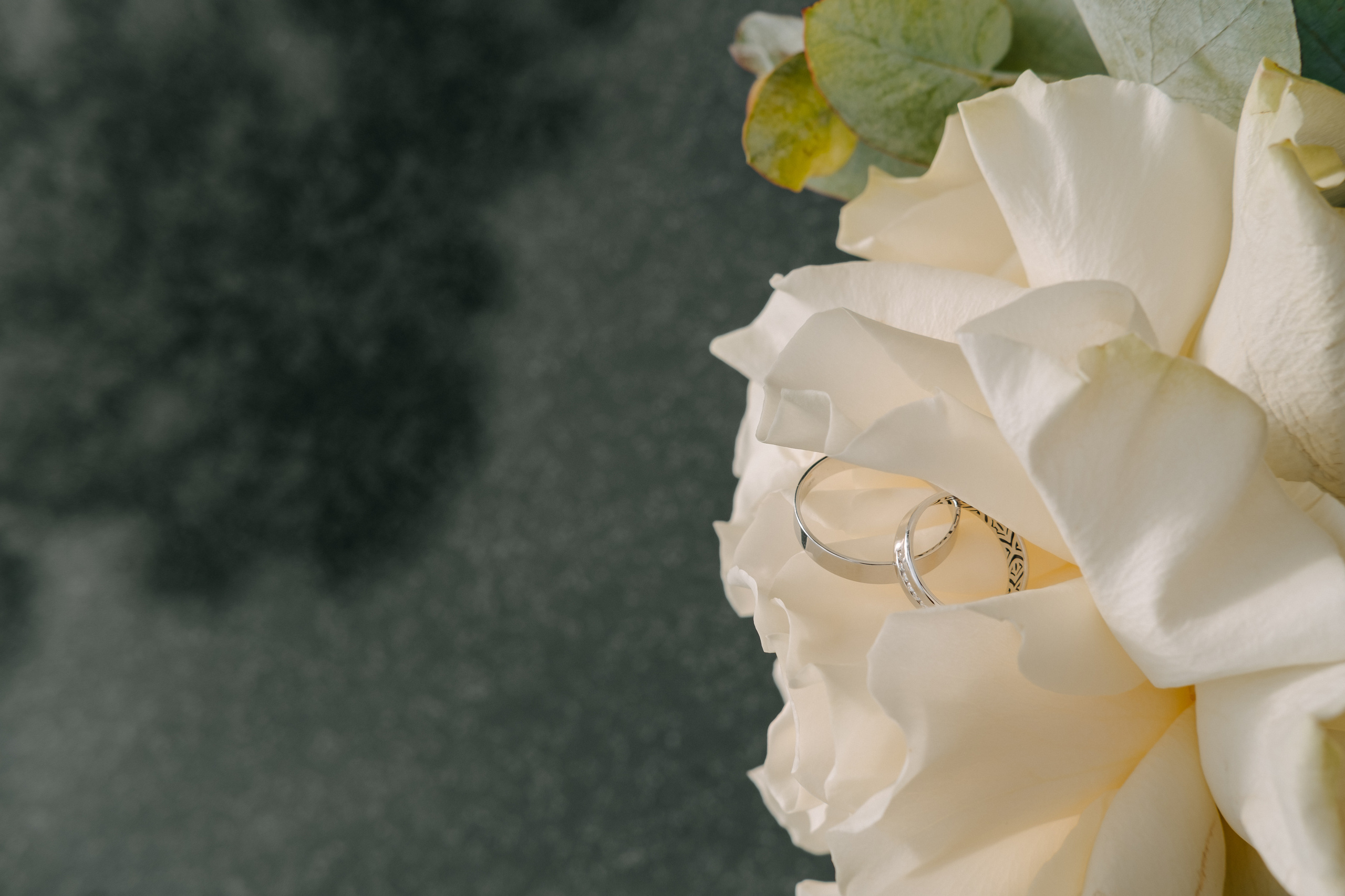 Нежность. Фотограф Москва, Смоленск