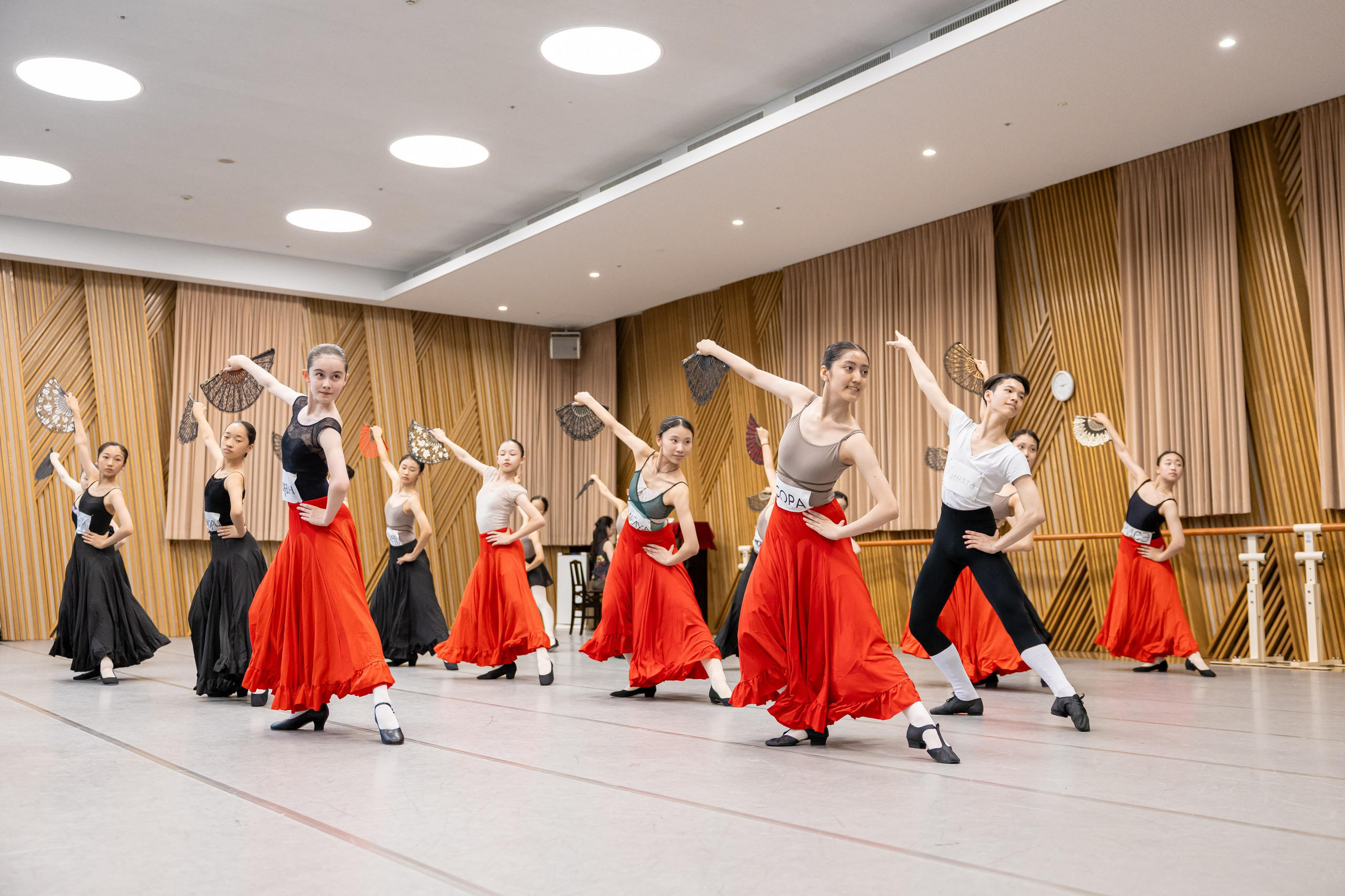 Репортажная съёмка открытых уроков и репетиций. Балетный фотограф Алина Ханько — Душа Балета