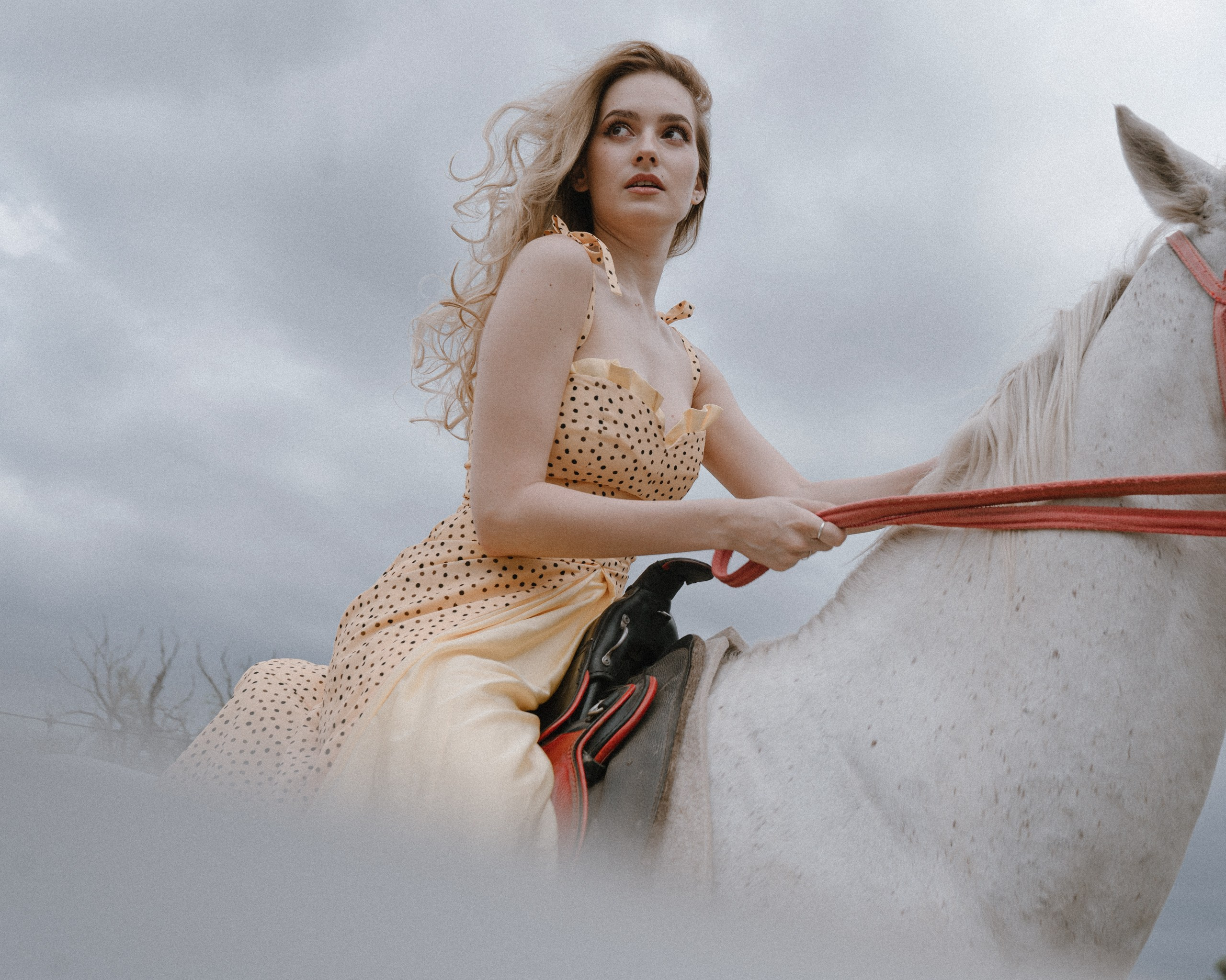 The Equine Muse. Фотограф в Алматы Анастасия Новоселова
