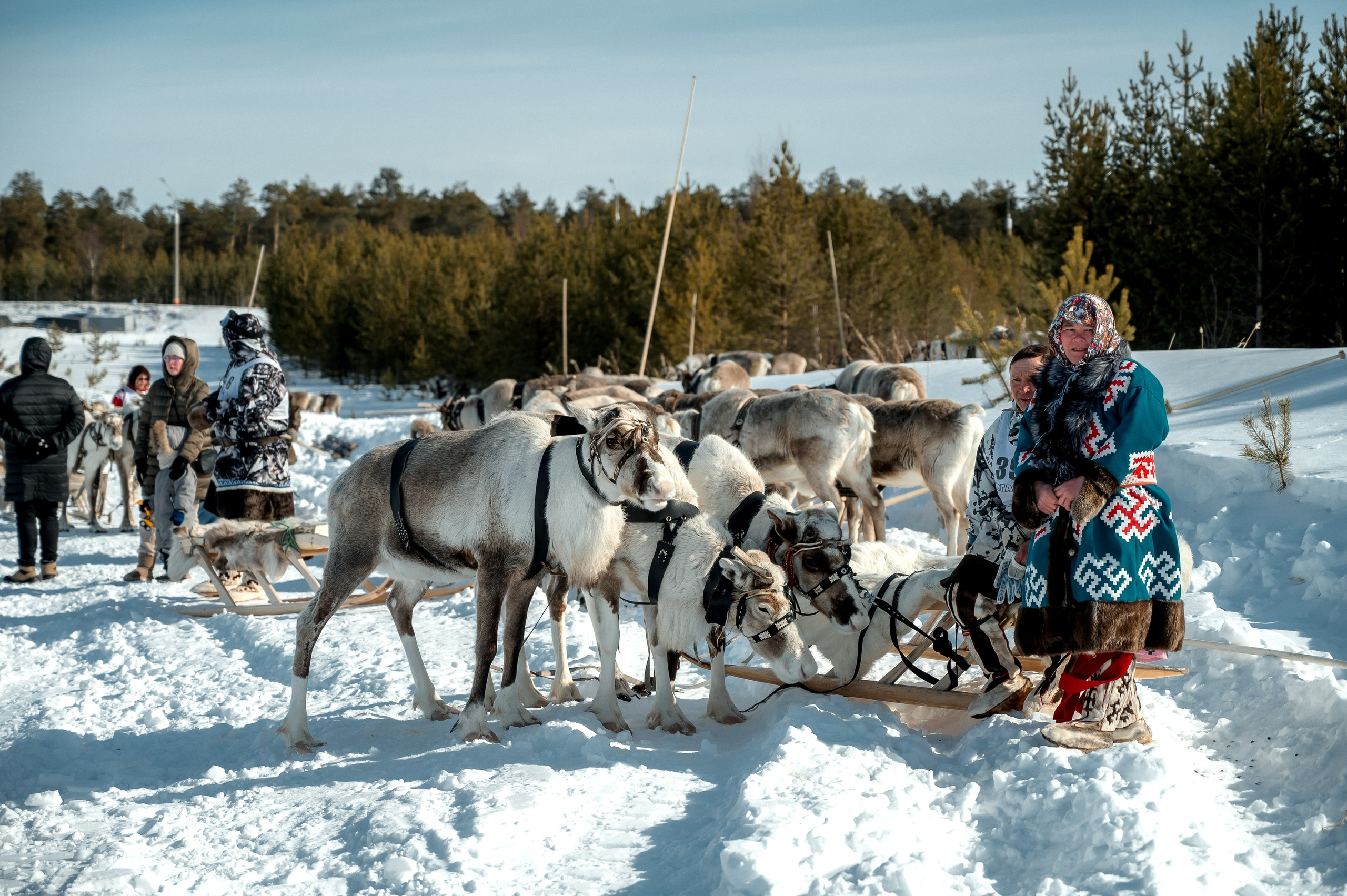 День оленевода г. Когалым. Фотограф Нижний Новгород