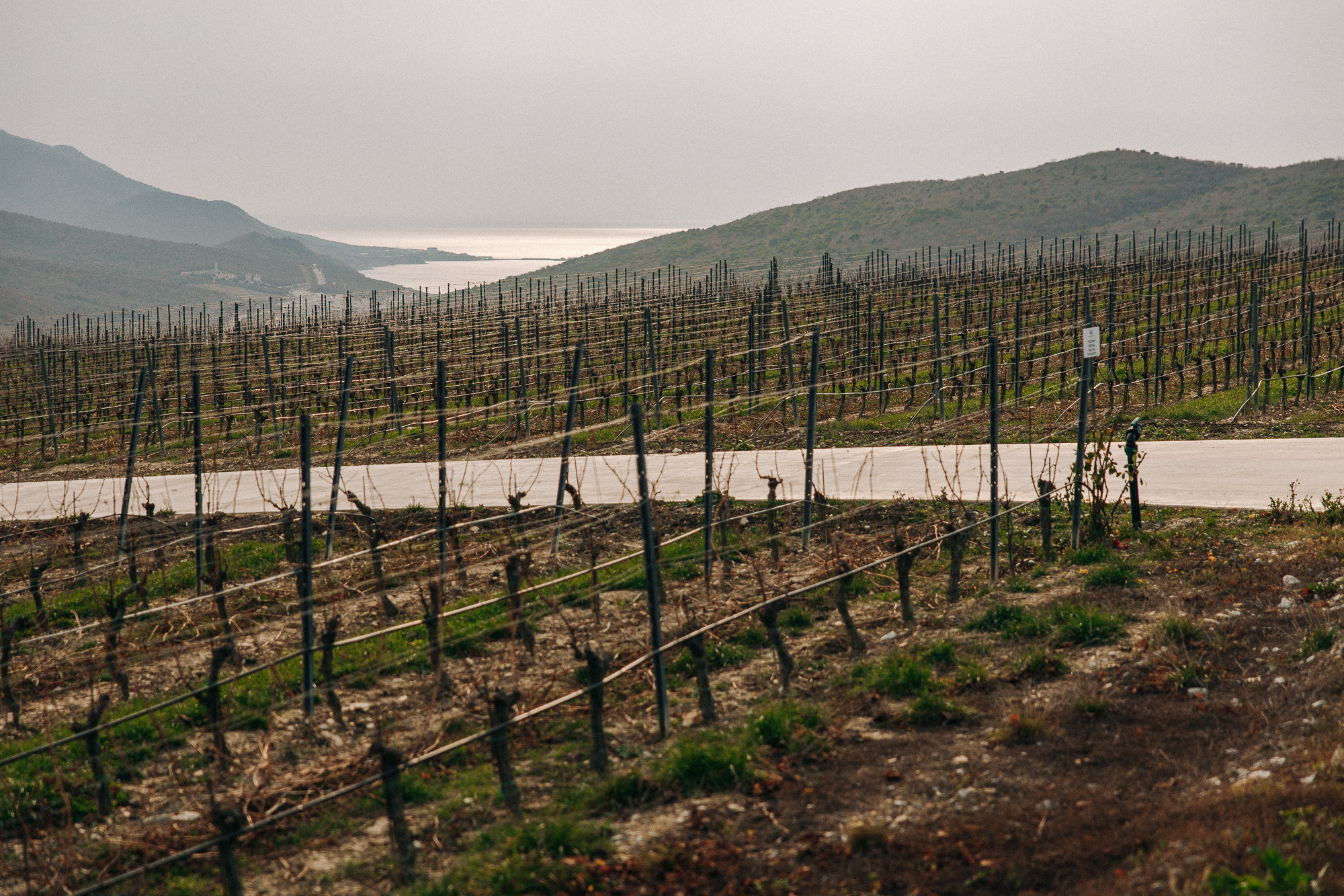 ВИНОДЕЛЬНЯ «СКАЛИСТЫЙ БЕРЕГ»