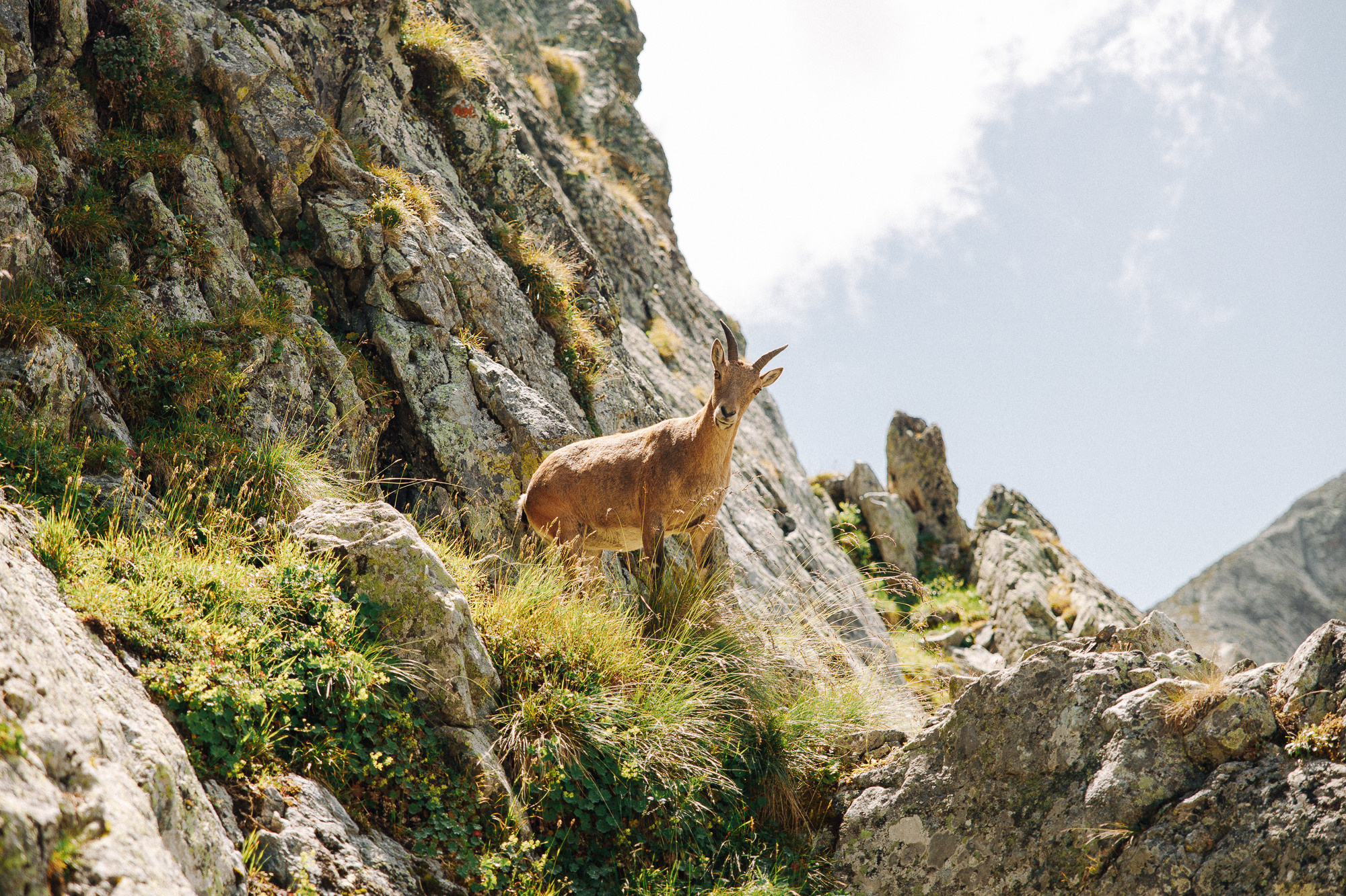 ДОМБАЙ | ОЗЁРА МУРУДЖУ