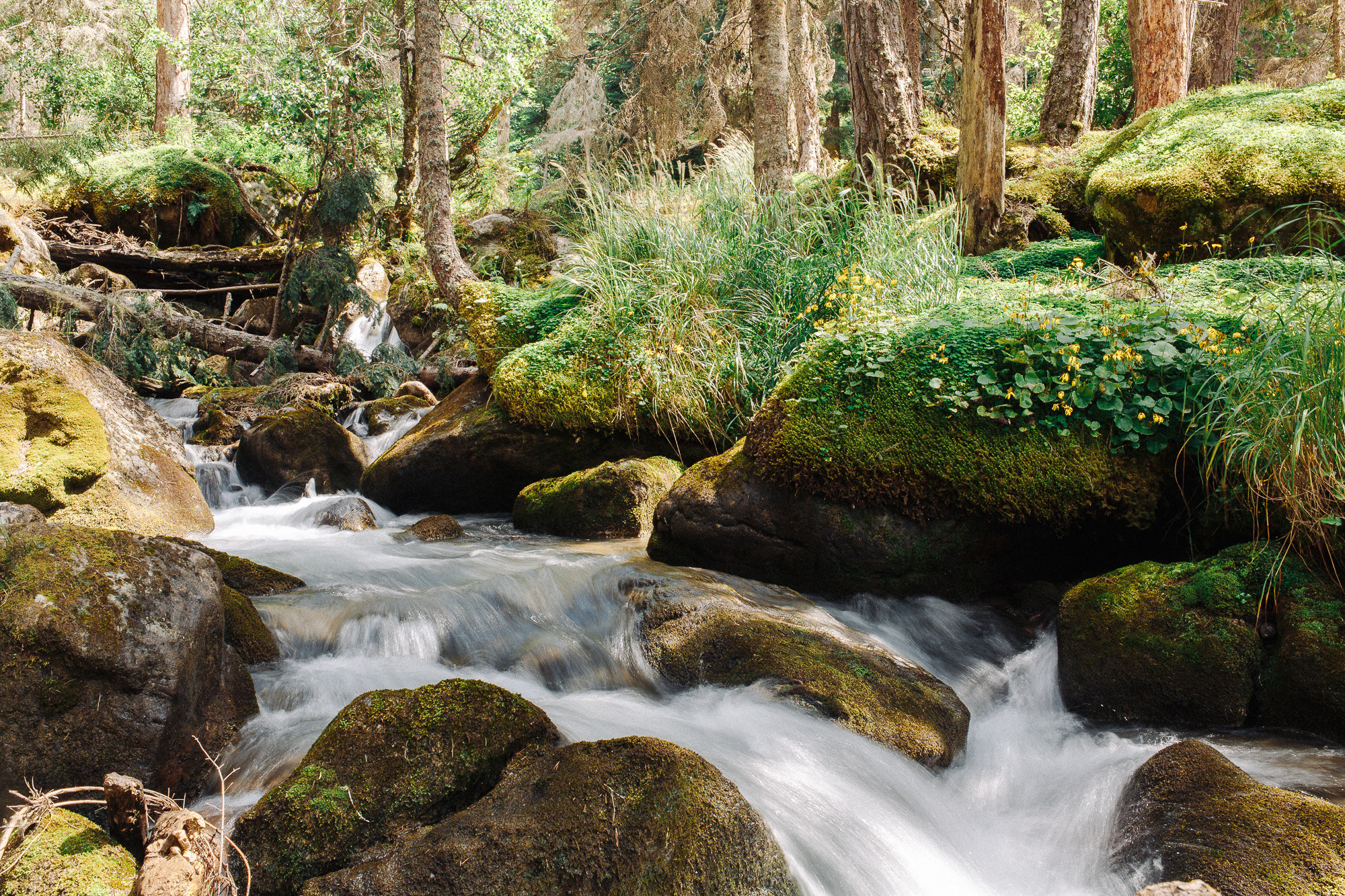 ДОМБАЙ | ОЗЁРА МУРУДЖУ
