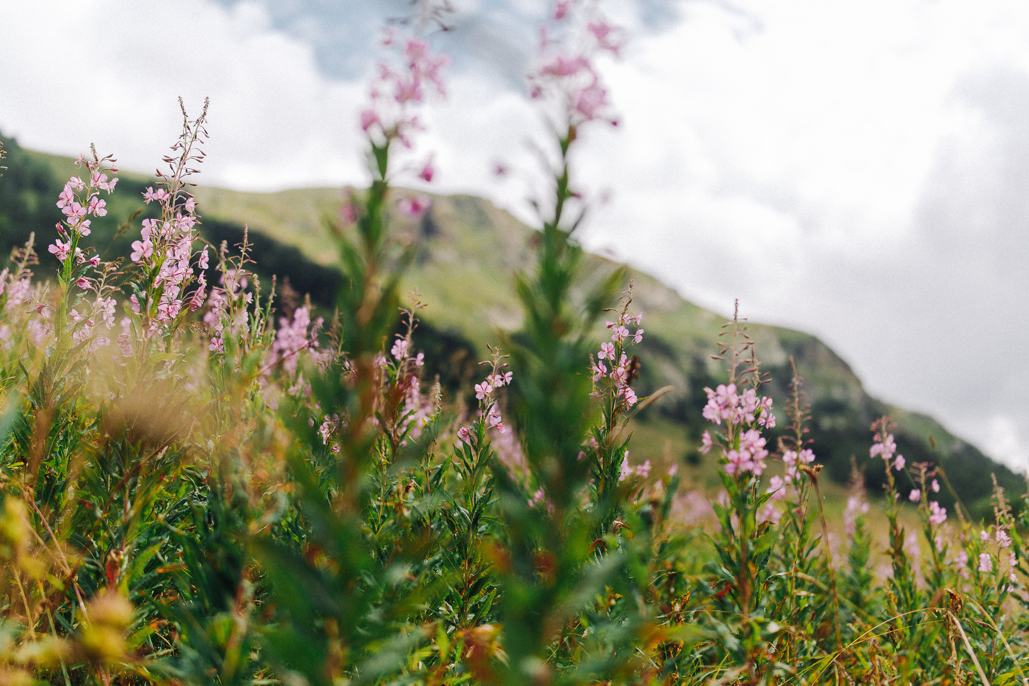 ДОМБАЙ | ОЗЁРА МУРУДЖУ