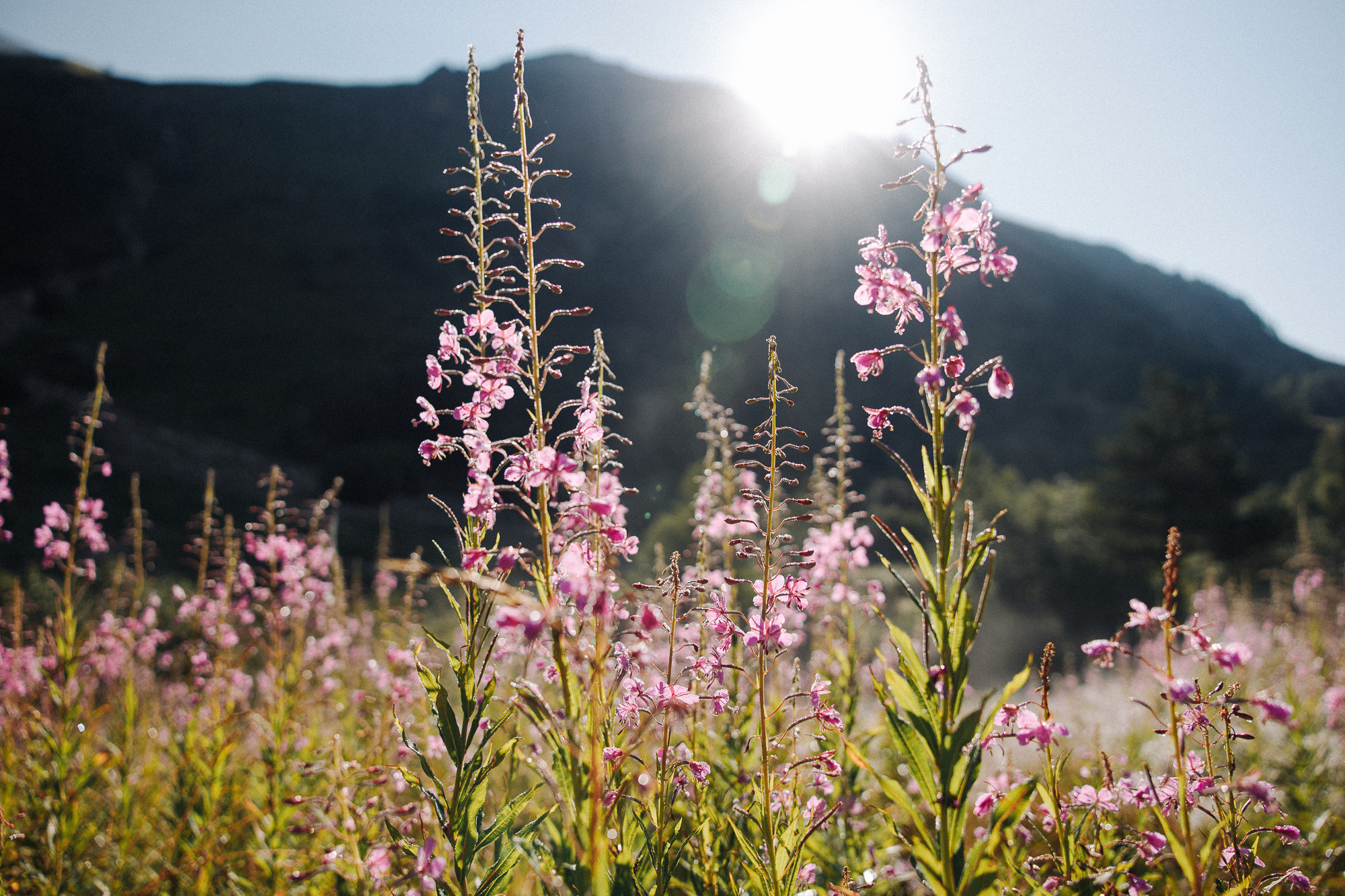 ДОМБАЙ | ОЗЁРА МУРУДЖУ