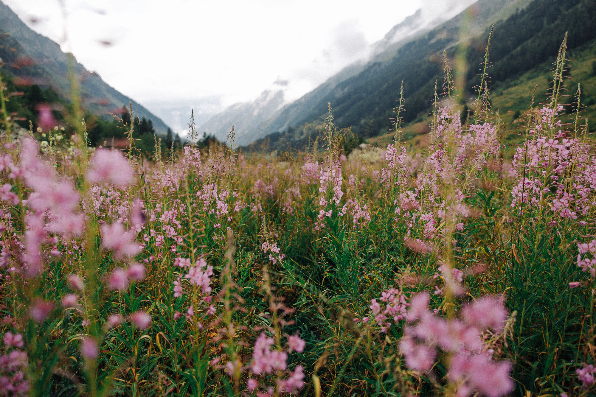 ДОМБАЙ | ОЗЁРА МУРУДЖУ