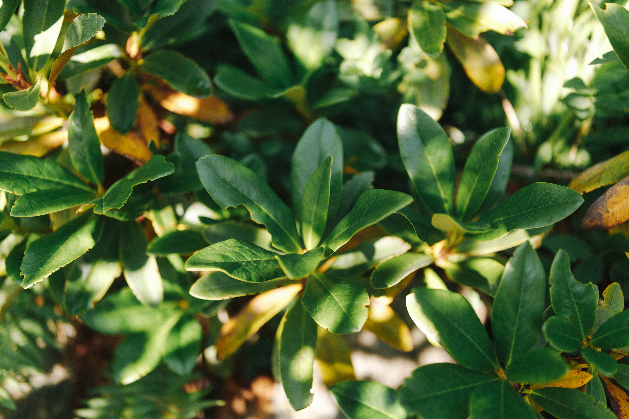 ДОМБАЙ | ОЗЁРА МУРУДЖУ