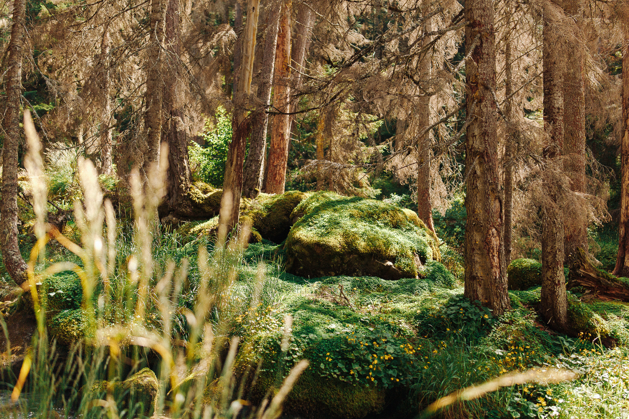 ДОМБАЙ | ОЗЁРА МУРУДЖУ