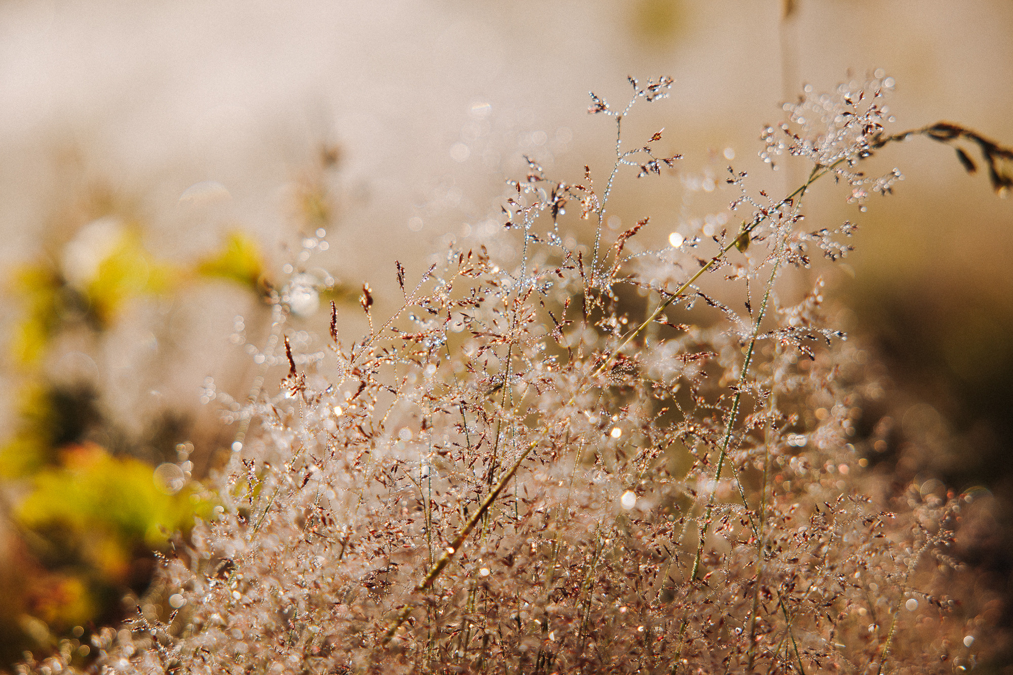 ДОМБАЙ | ОЗЁРА МУРУДЖУ
