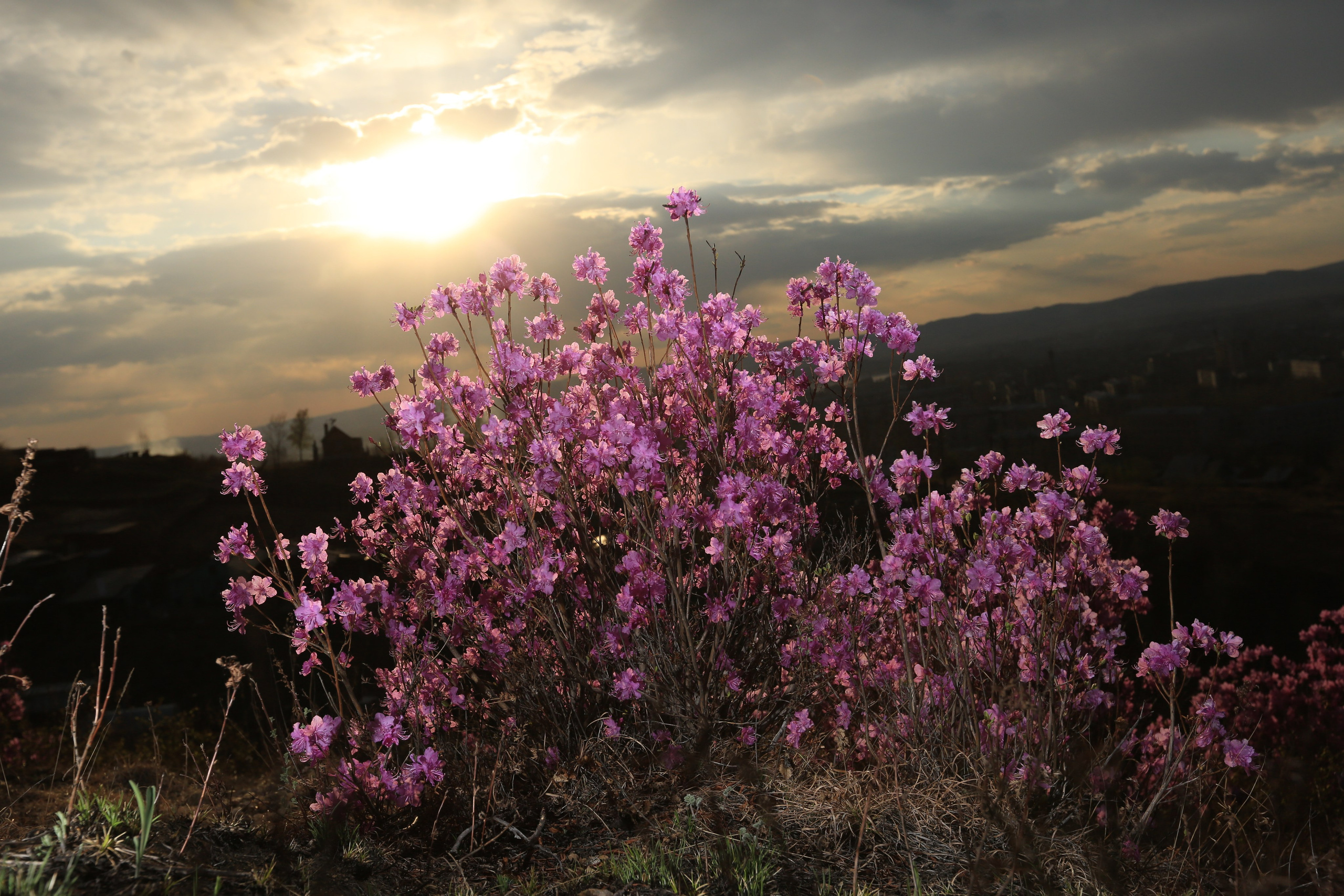 Фото Природы Забайкалья. Студия Максима Белослюдцева