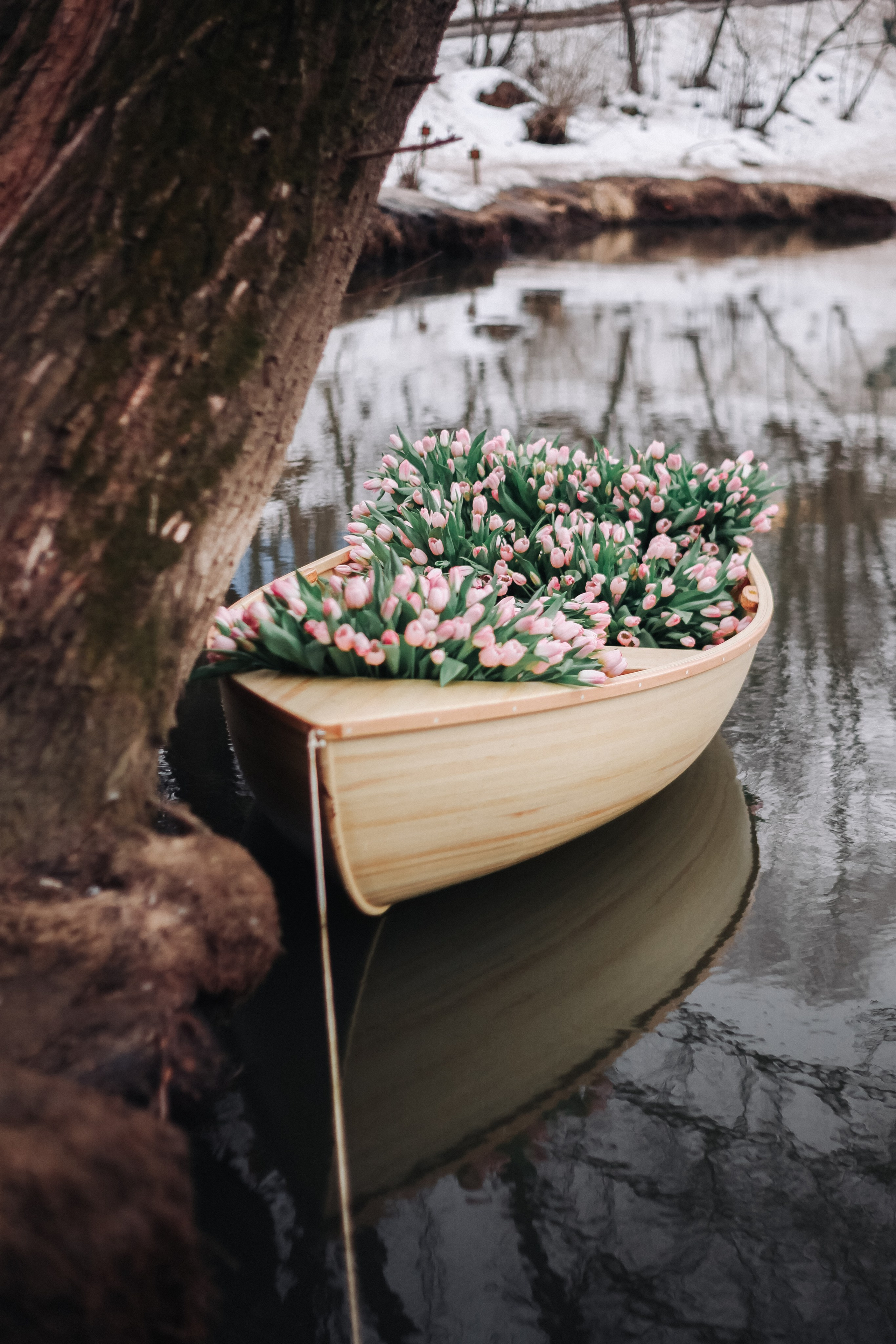 Репортажные и портретные фотосессии в Москве. Предметный фотограф в Москве Дарья Радькович