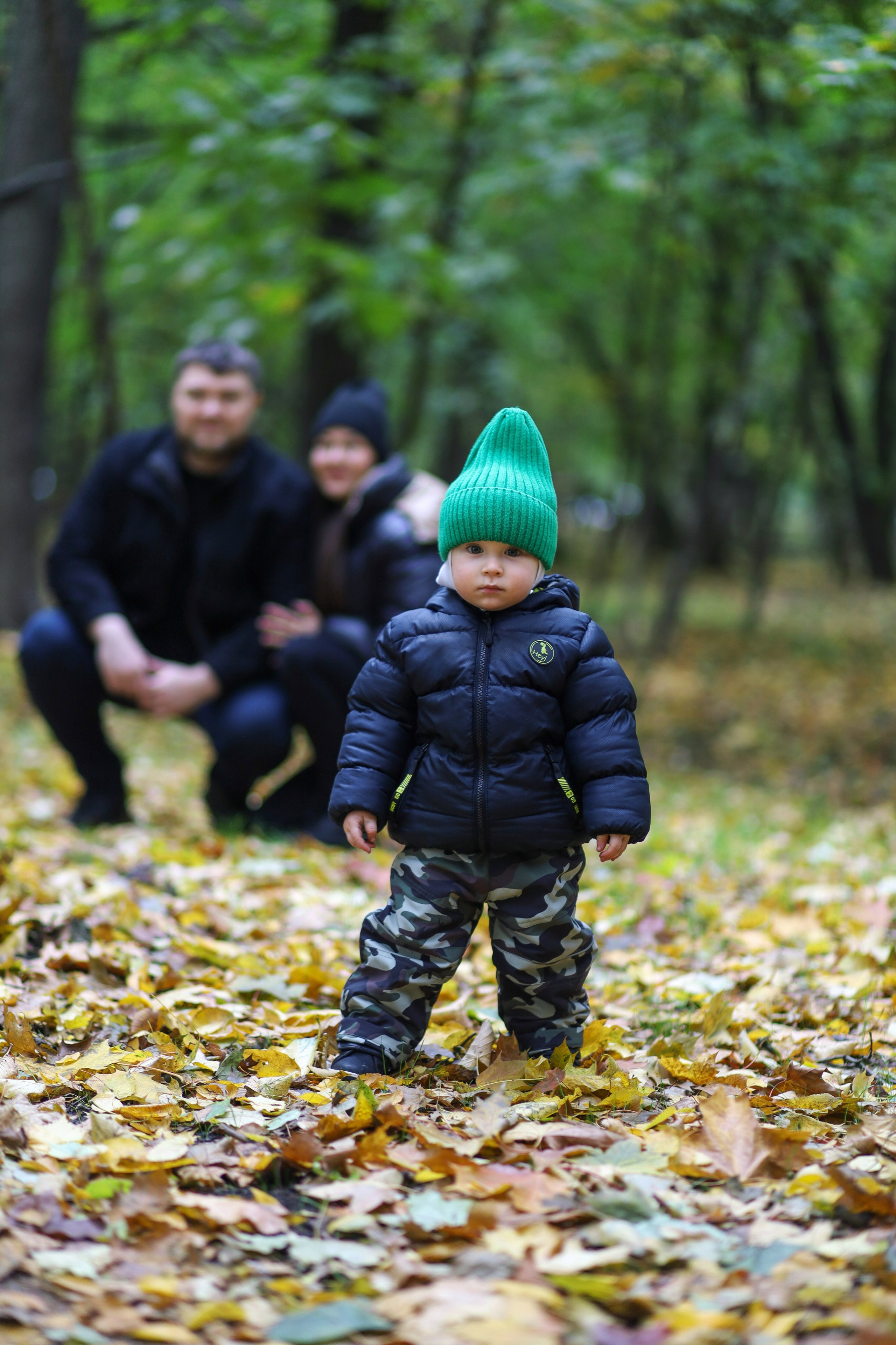 Семейное дерево. Главная