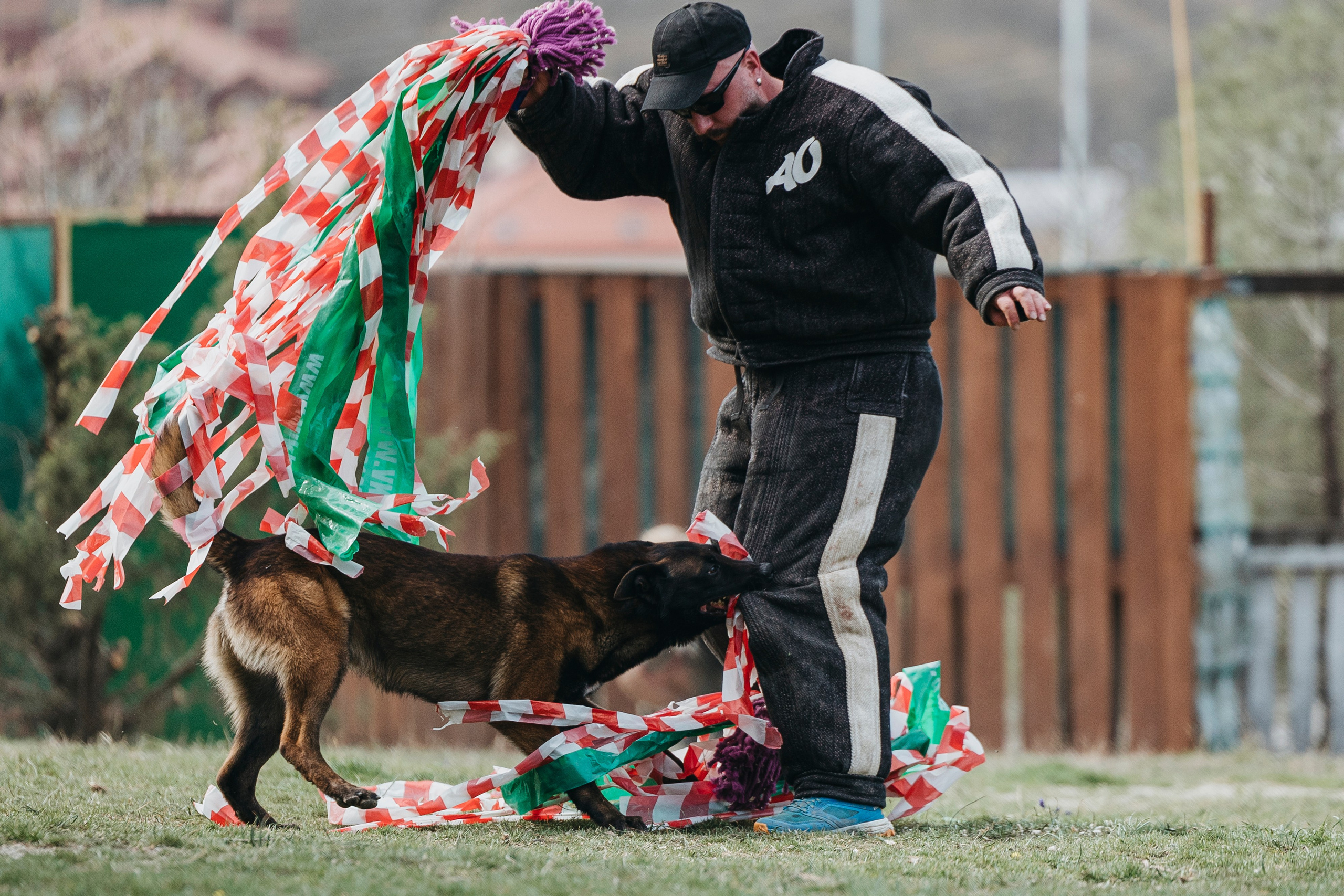 Геленджик Мондьоринг. Фотограф-анималист Анна Маринич