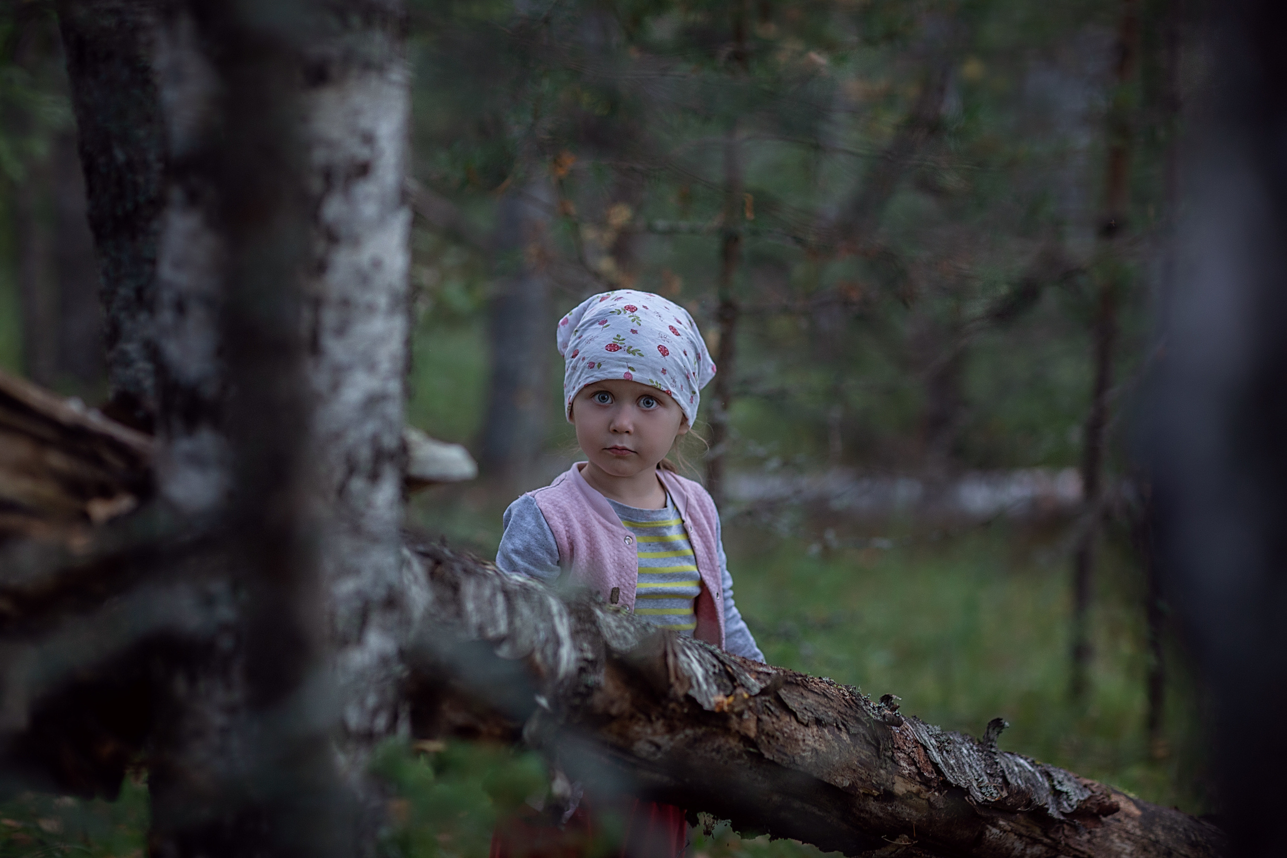 По грибы. Семейный фотограф в Санкт-Петербурге
