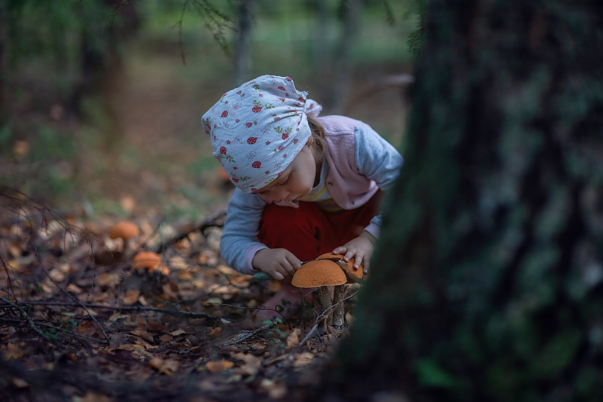 По грибы. Семейный фотограф в Санкт-Петербурге