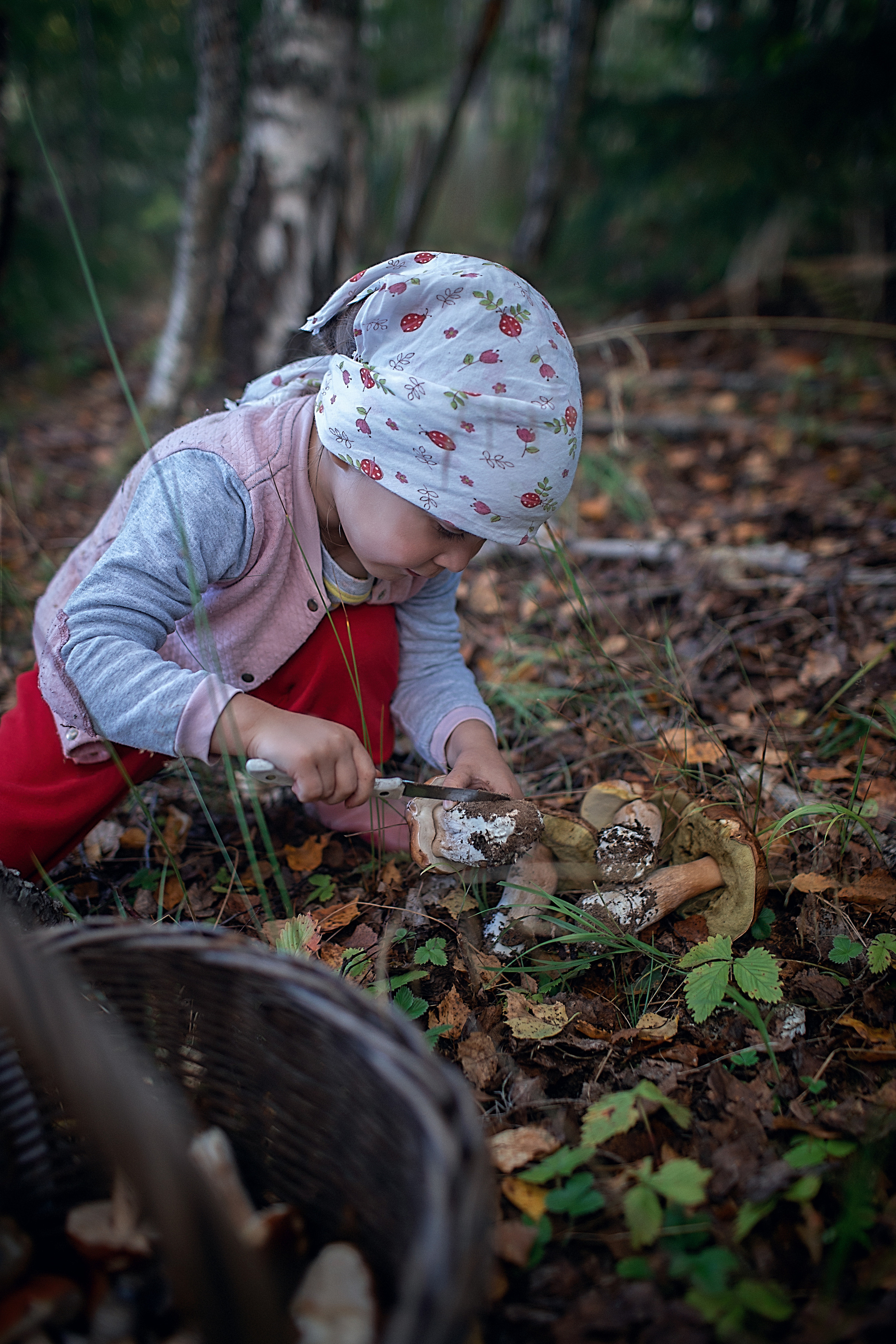 По грибы. Семейный фотограф в Санкт-Петербурге
