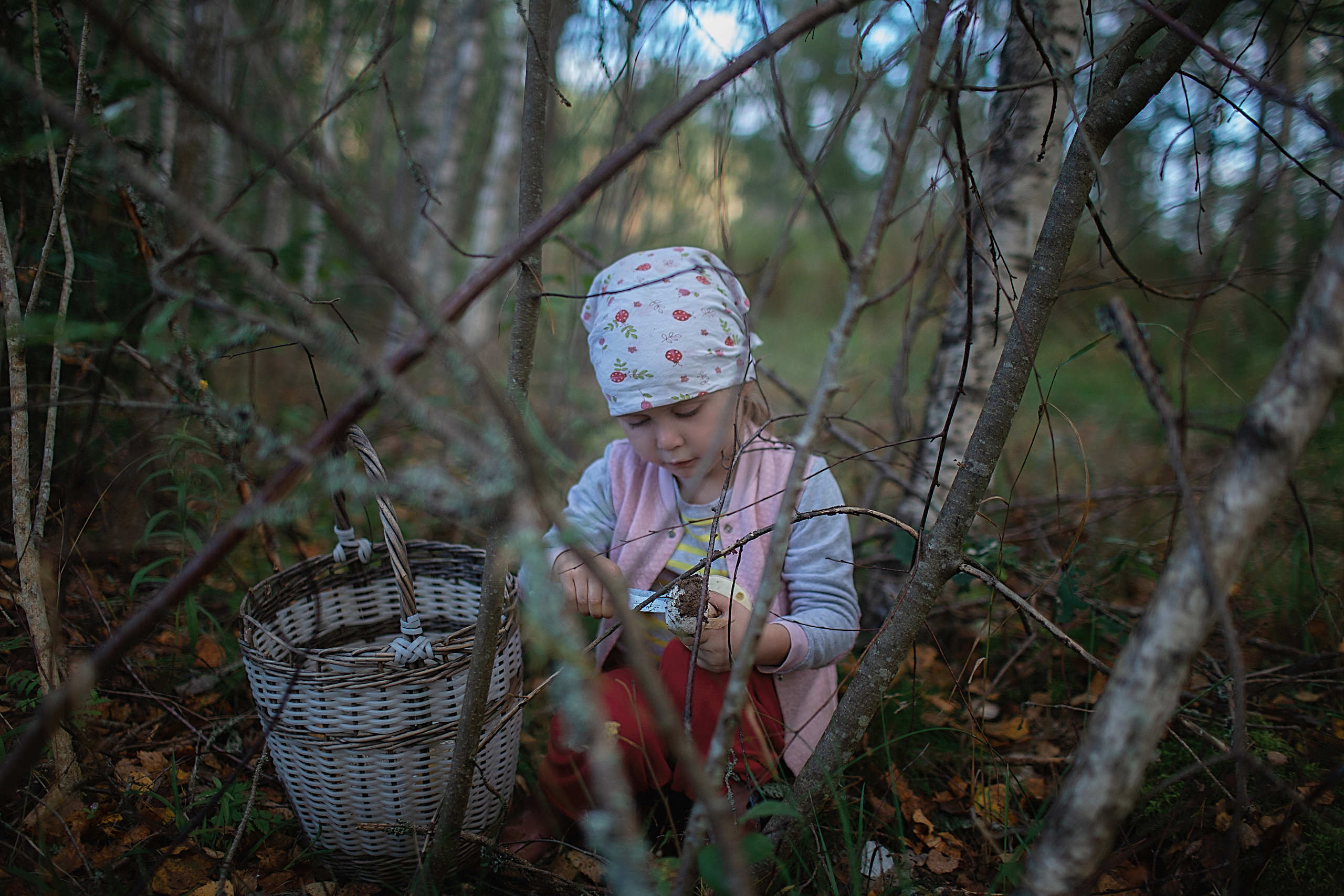 По грибы. Семейный фотограф в Санкт-Петербурге