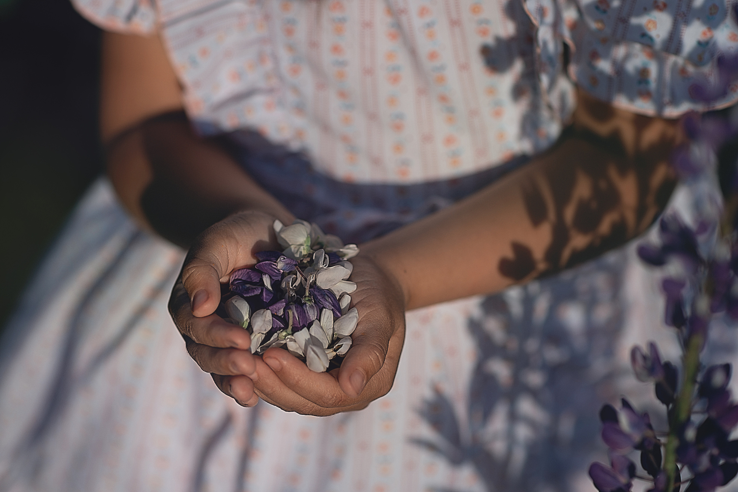 Алиса. Семейный фотограф в Санкт-Петербурге