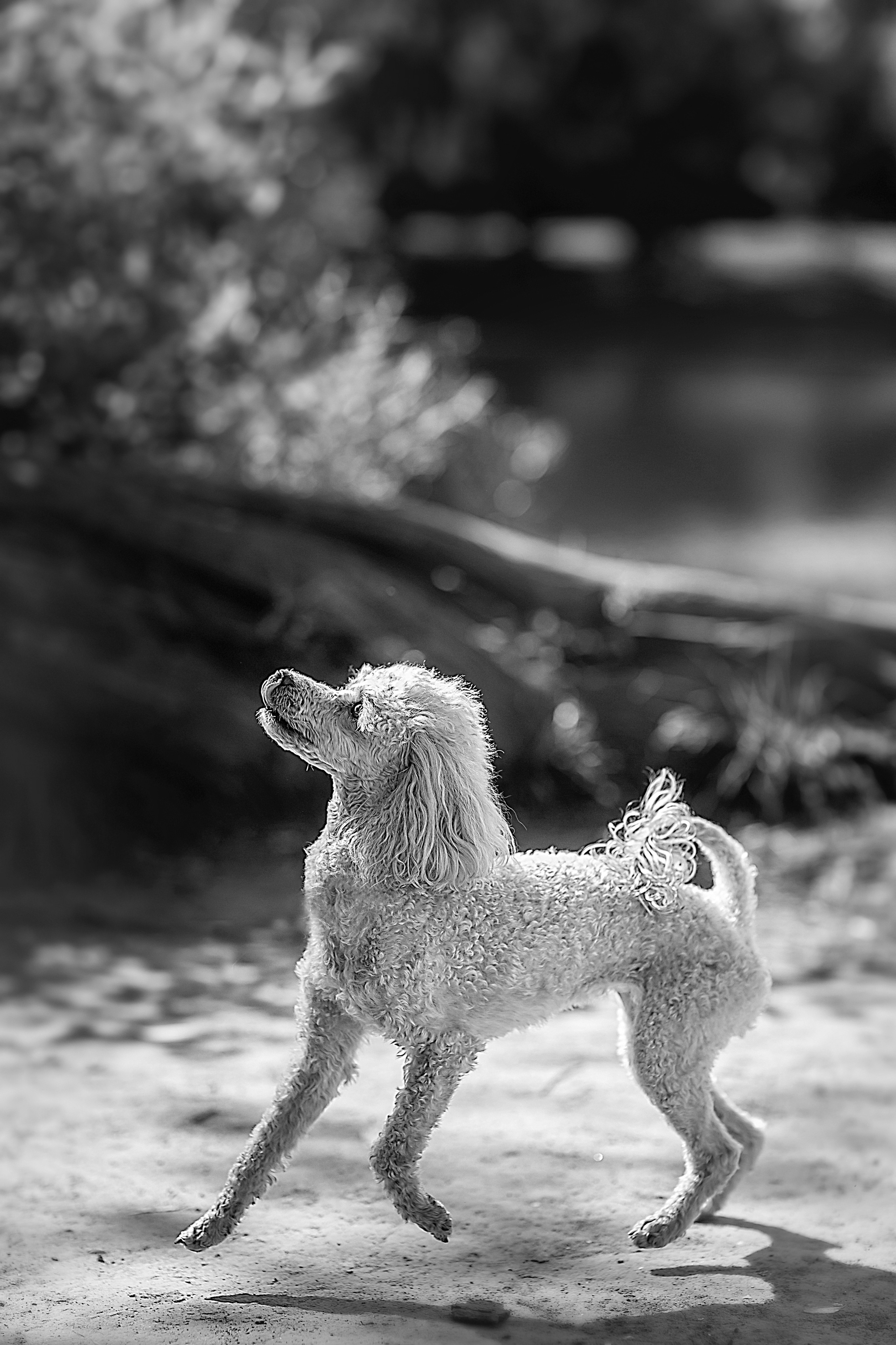 2 годика Дианочке. Семейный фотограф в Санкт-Петербурге