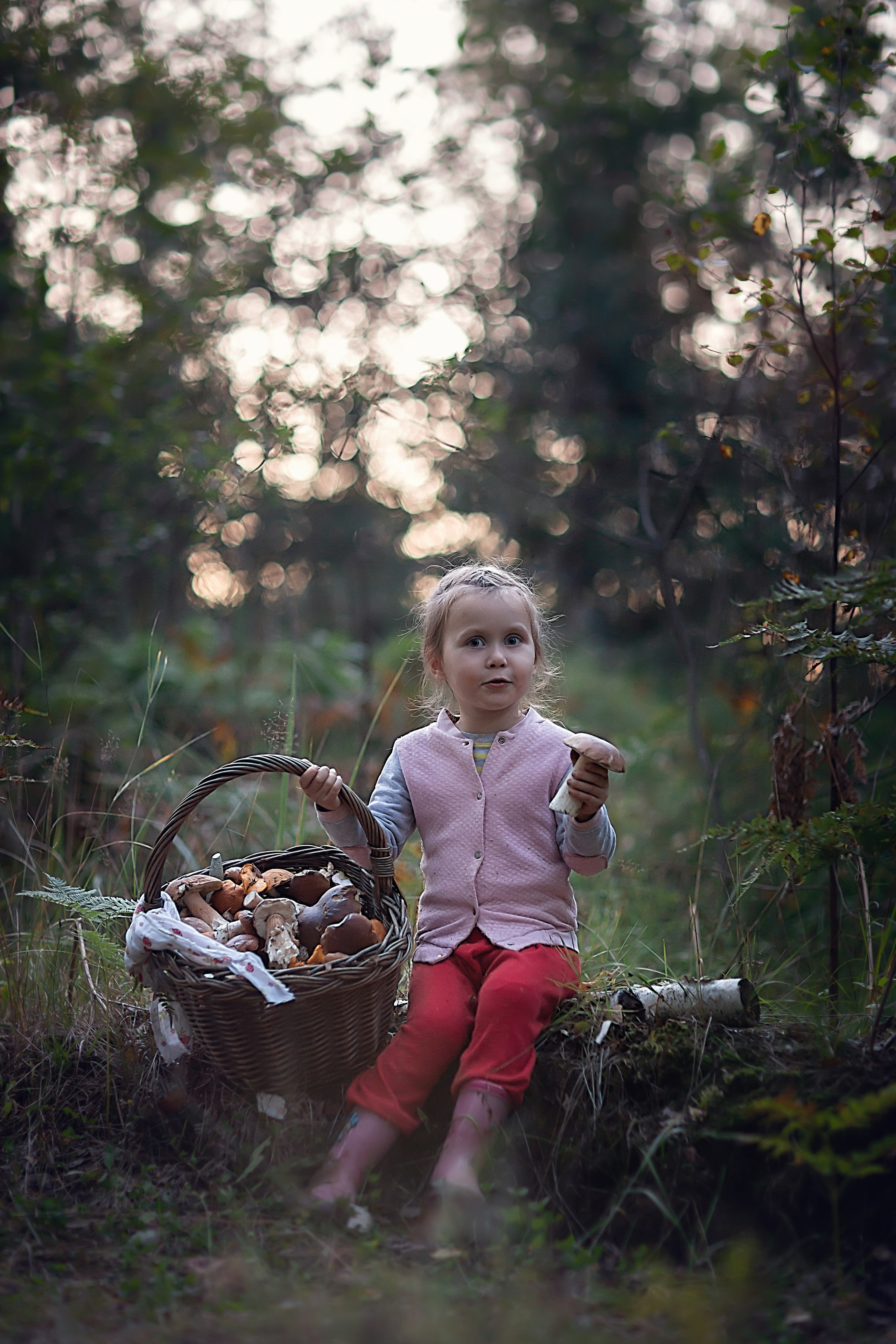 По грибы. Семейный фотограф в Санкт-Петербурге