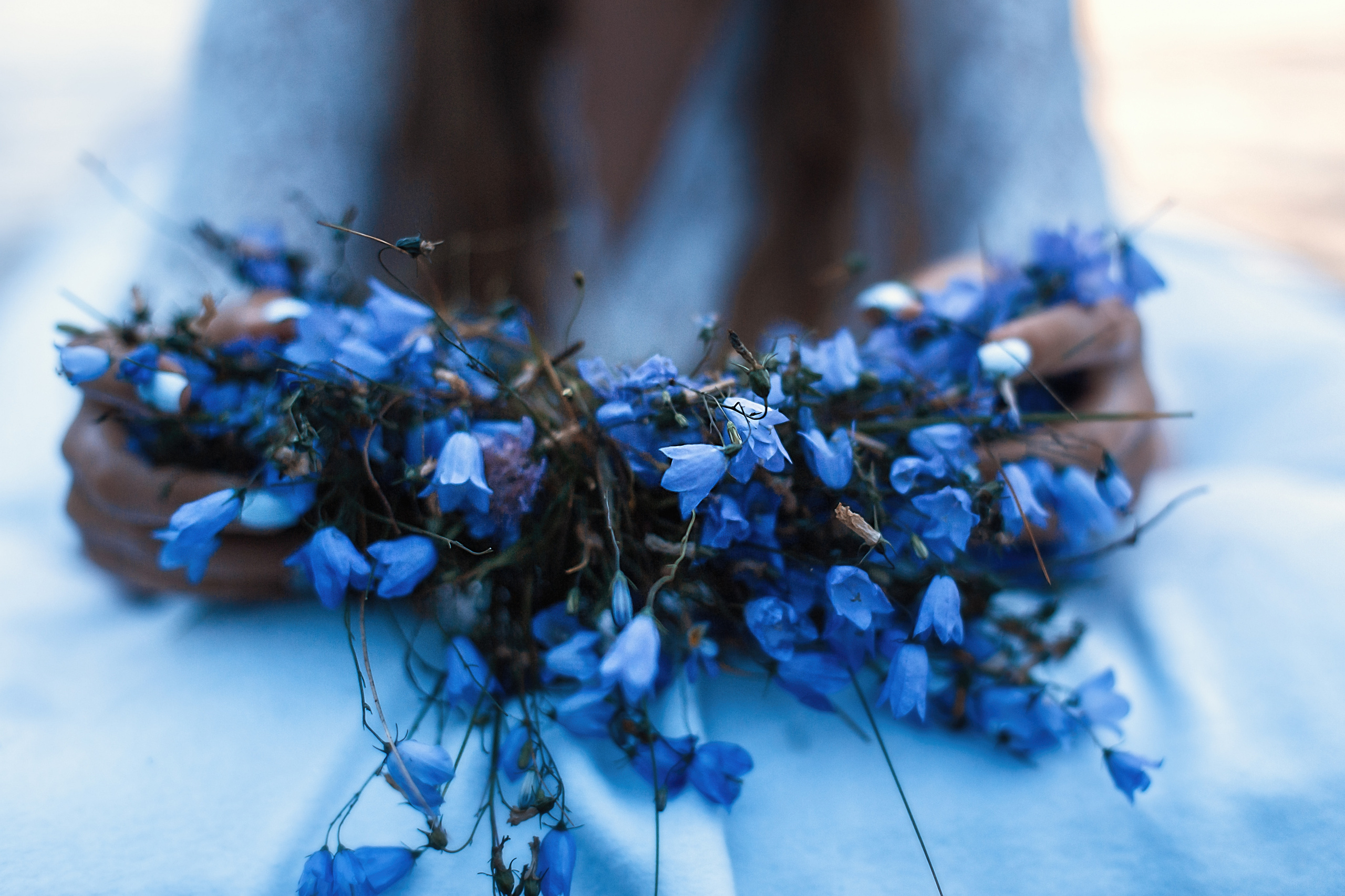 Рассвет. Озеро. Анастасия. Семейный фотограф в Санкт-Петербурге
