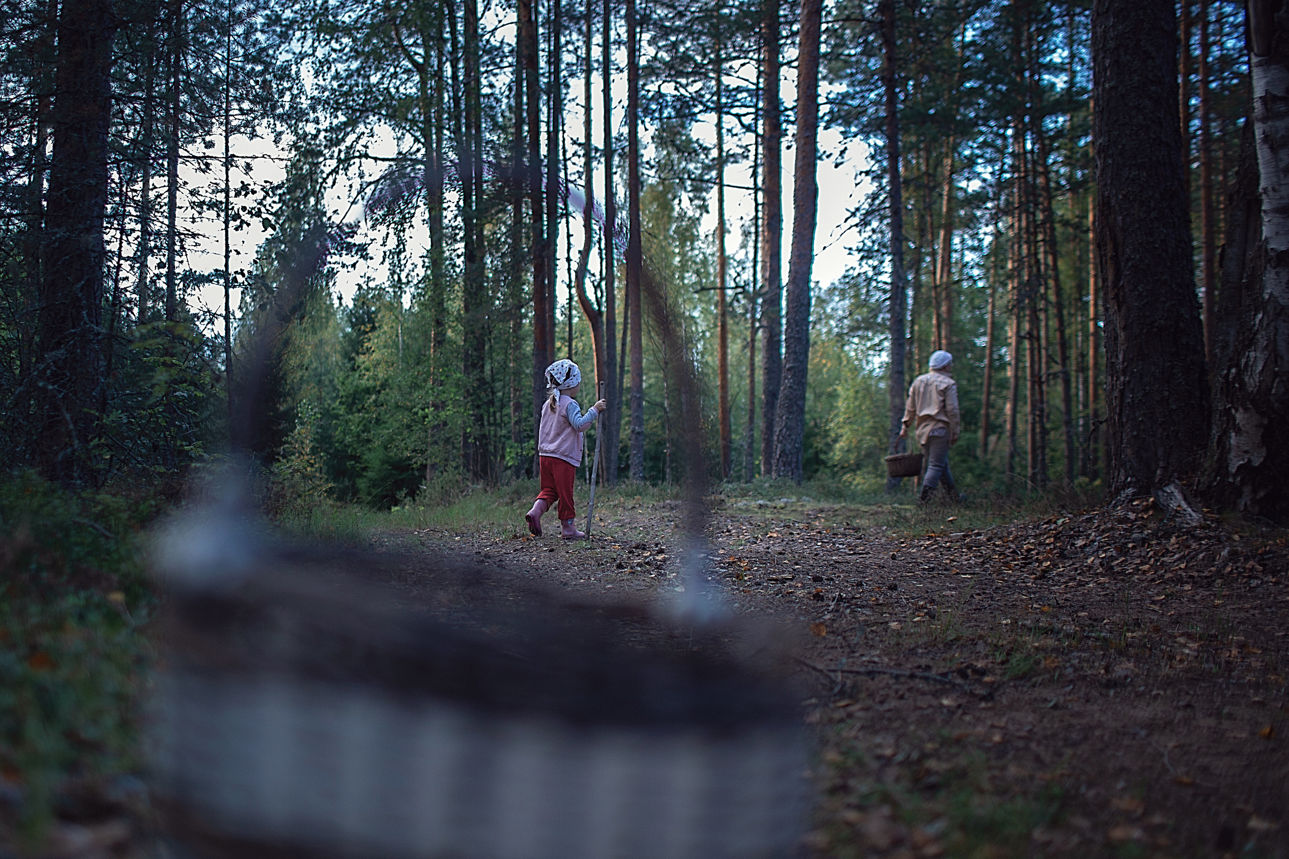 По грибы. Семейный фотограф в Санкт-Петербурге