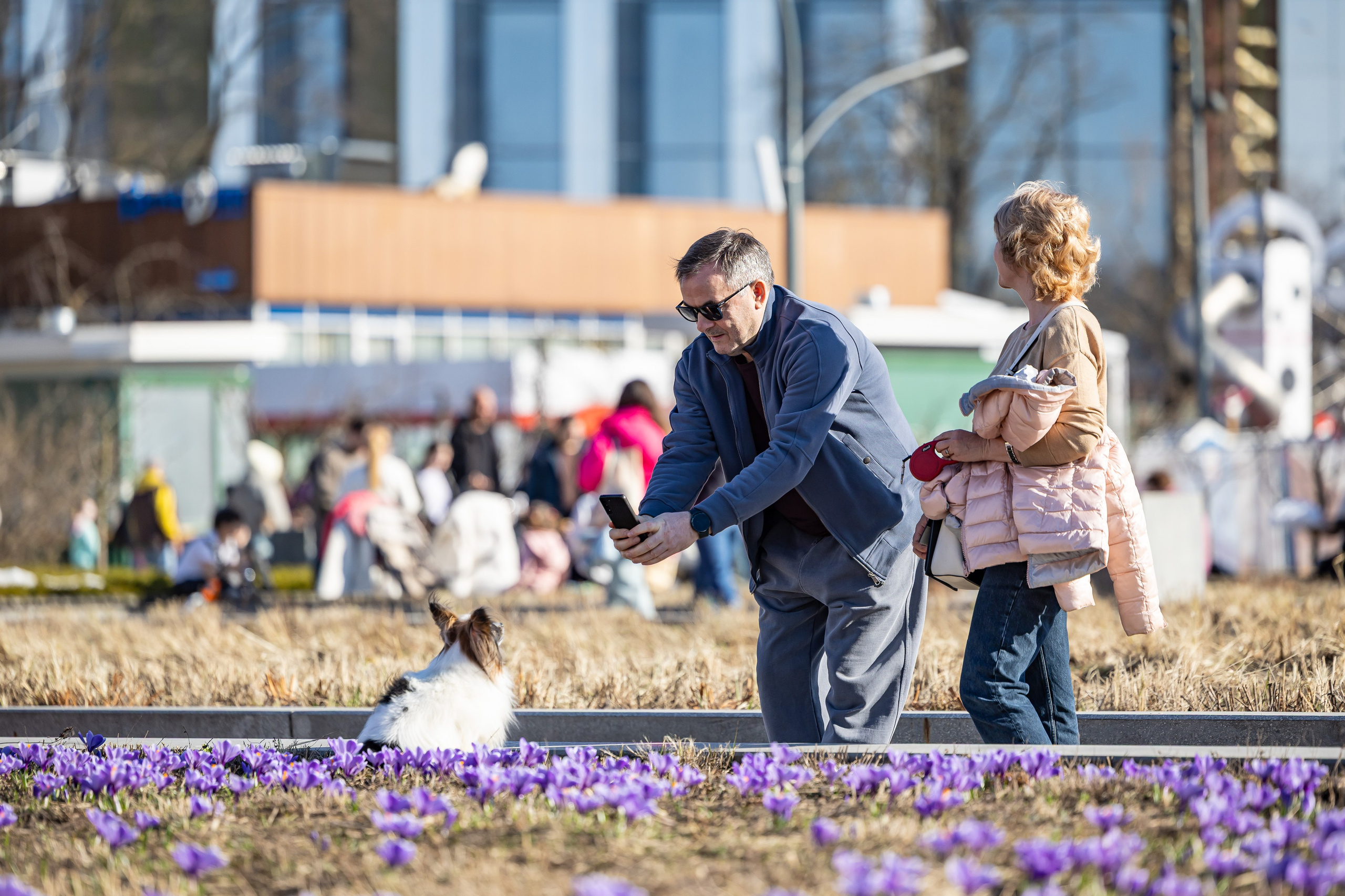 Городской пейзаж. Фотограф Владимир Охрименко
