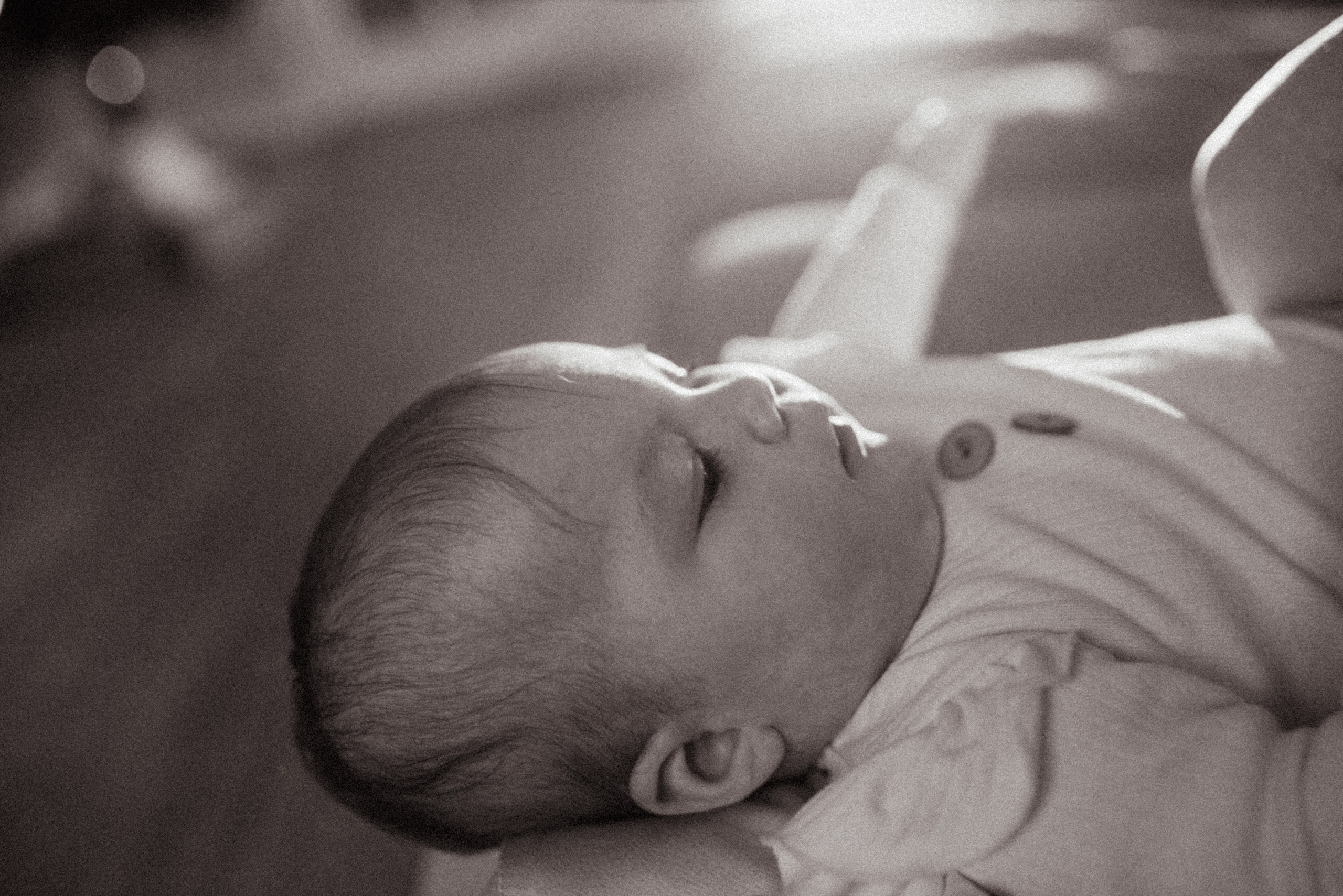 Домашняя 26.11.23. Галина Чекунова Фотограф в Ростове-на-Дону