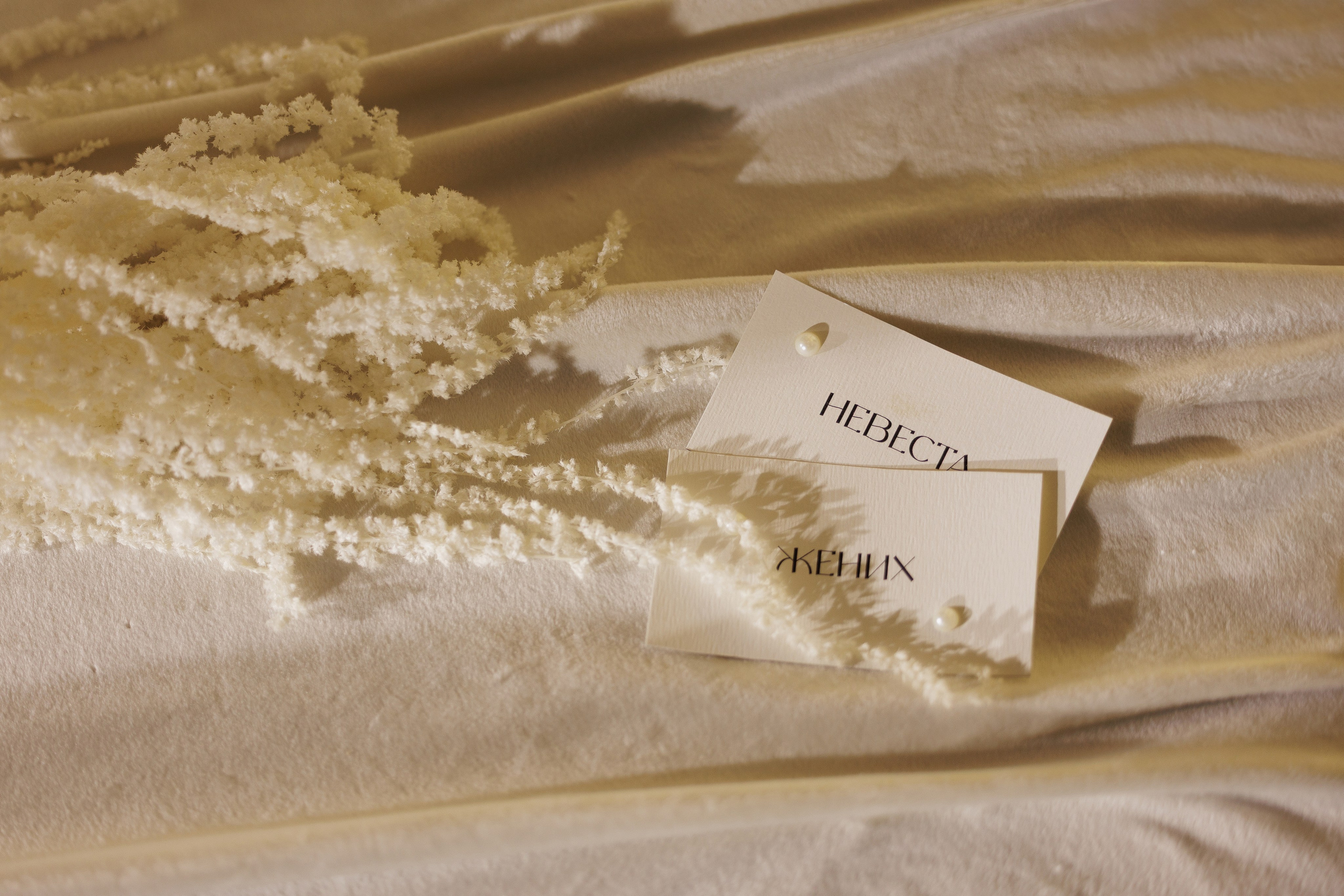 Данил и Алина. Фотограф Андреева Алёна