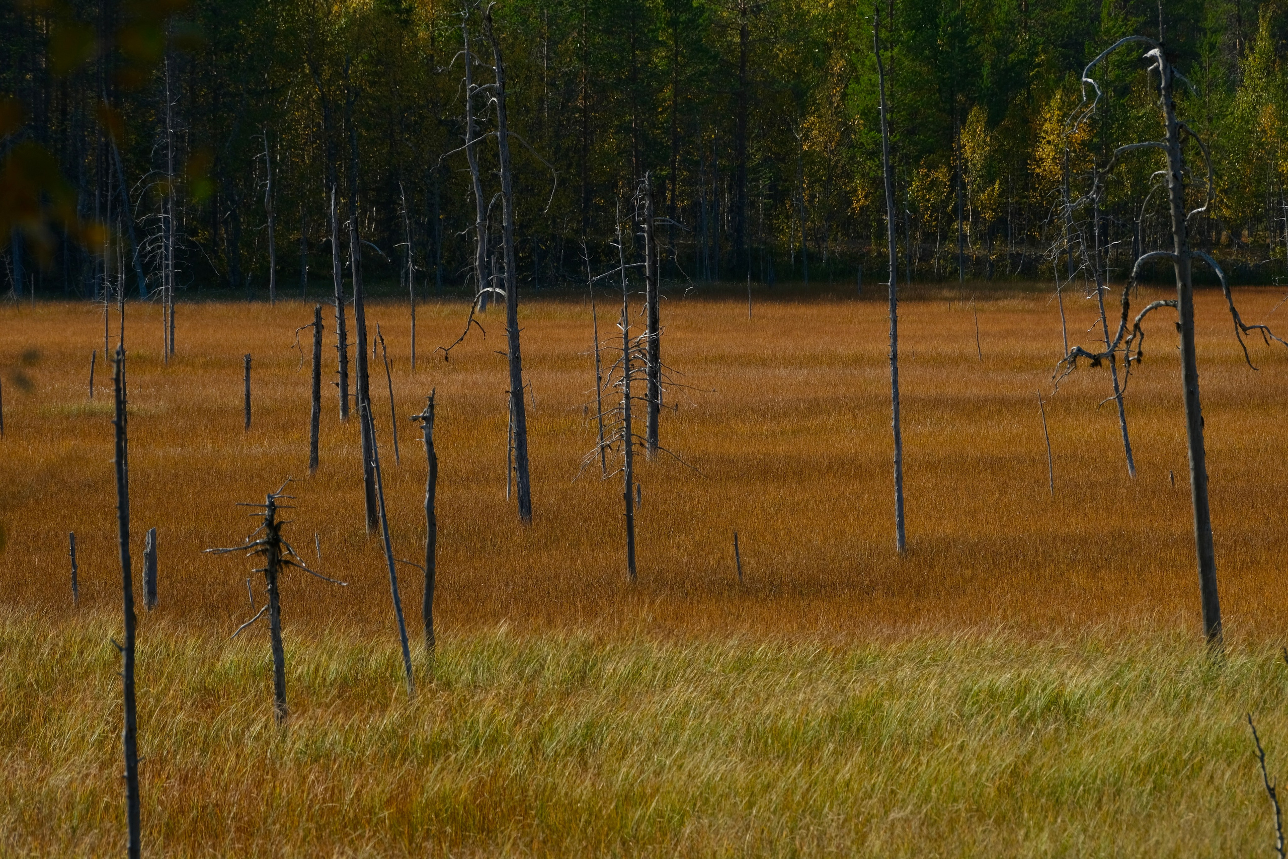 Мурманская область. Фотограф Евгений Андреев