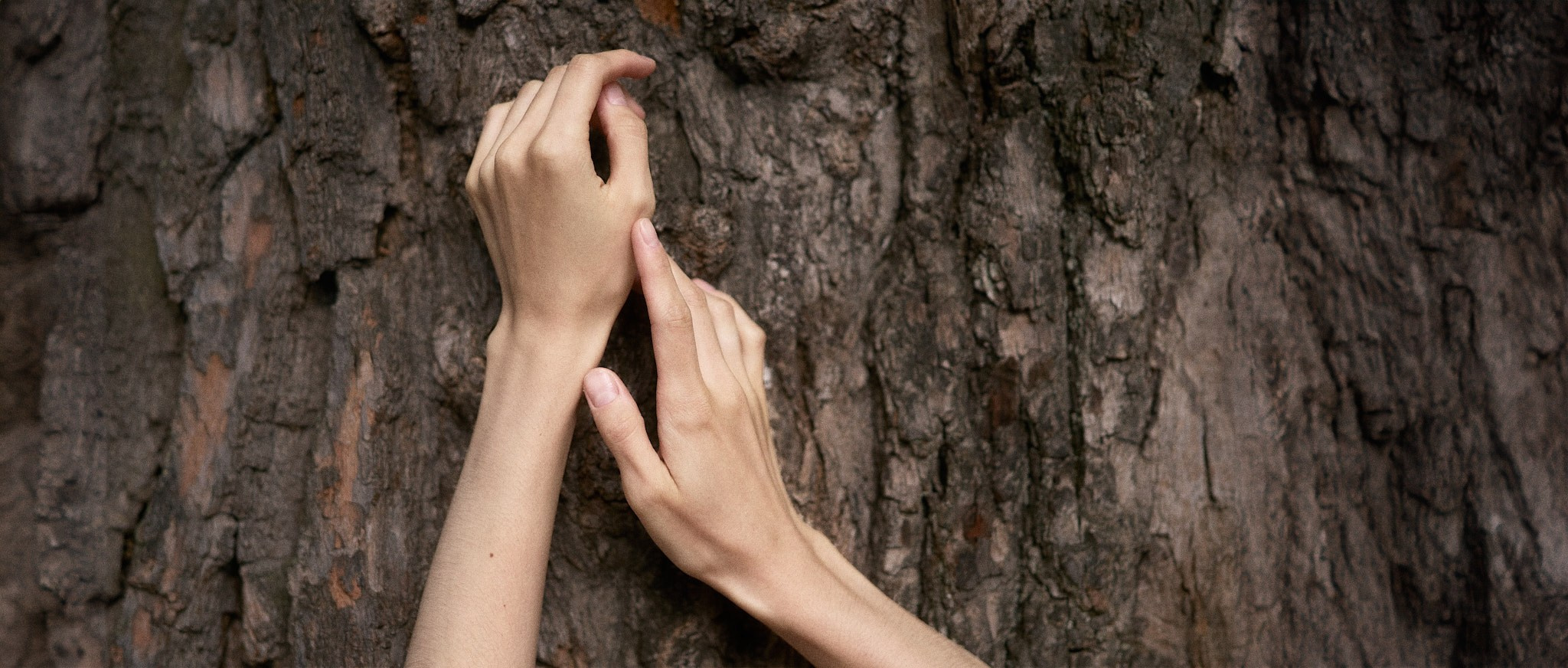 Scarlet Dream — стилизованная фотосессия «Алые паруса» в Петергофе, Верхний и Нижний парк, Санкт-Петербург. Сергей Горшенин — профессиональный фотограф