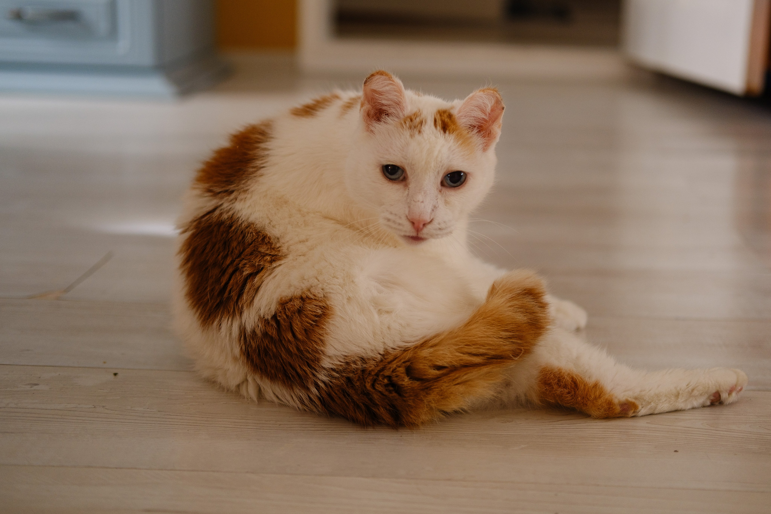 У Ирины весенним утром. Фотограф Евгения Войко Тюмень