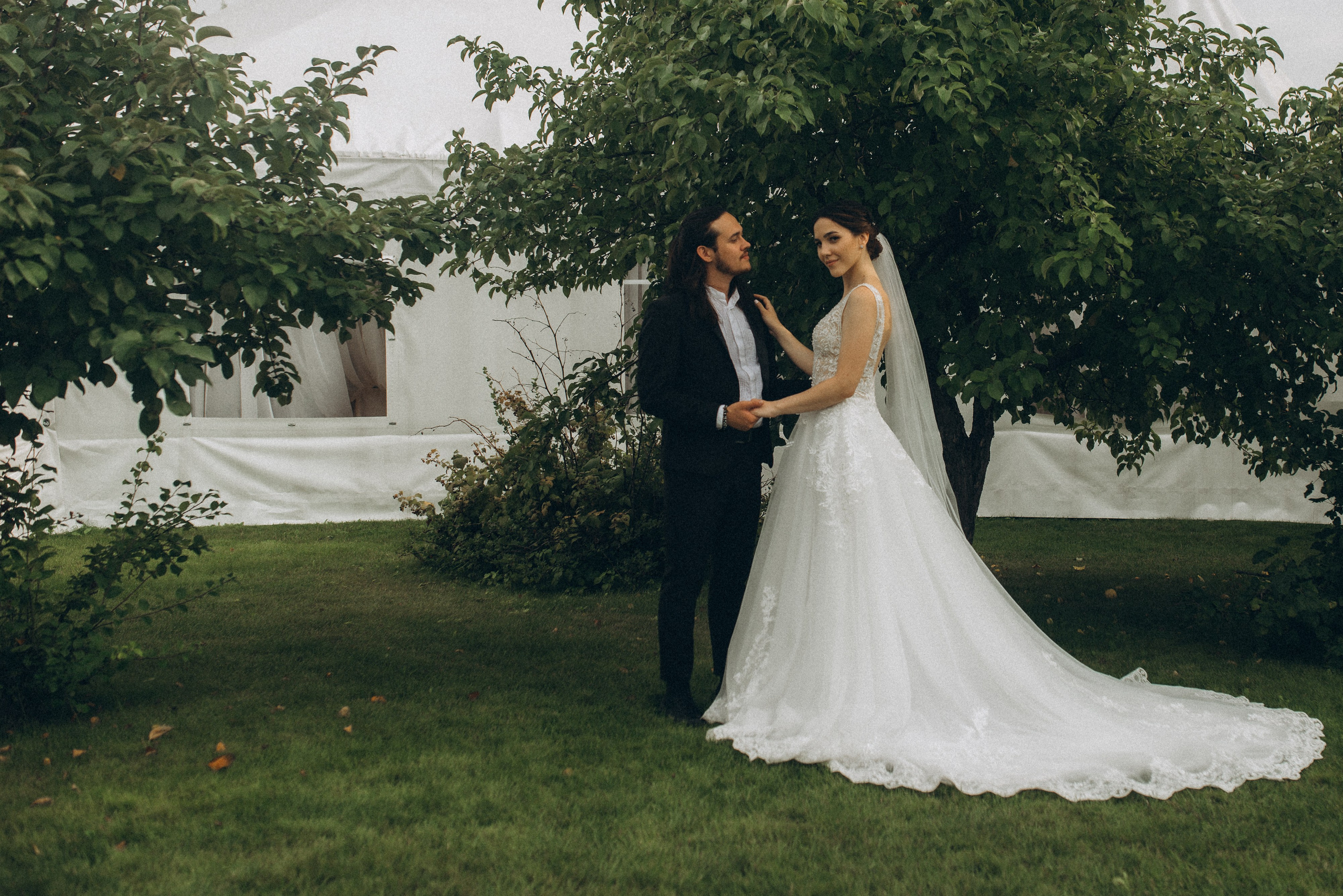 Портрет молодоженов в полный рост под кроной большой плакучей ивы в солнечный день.