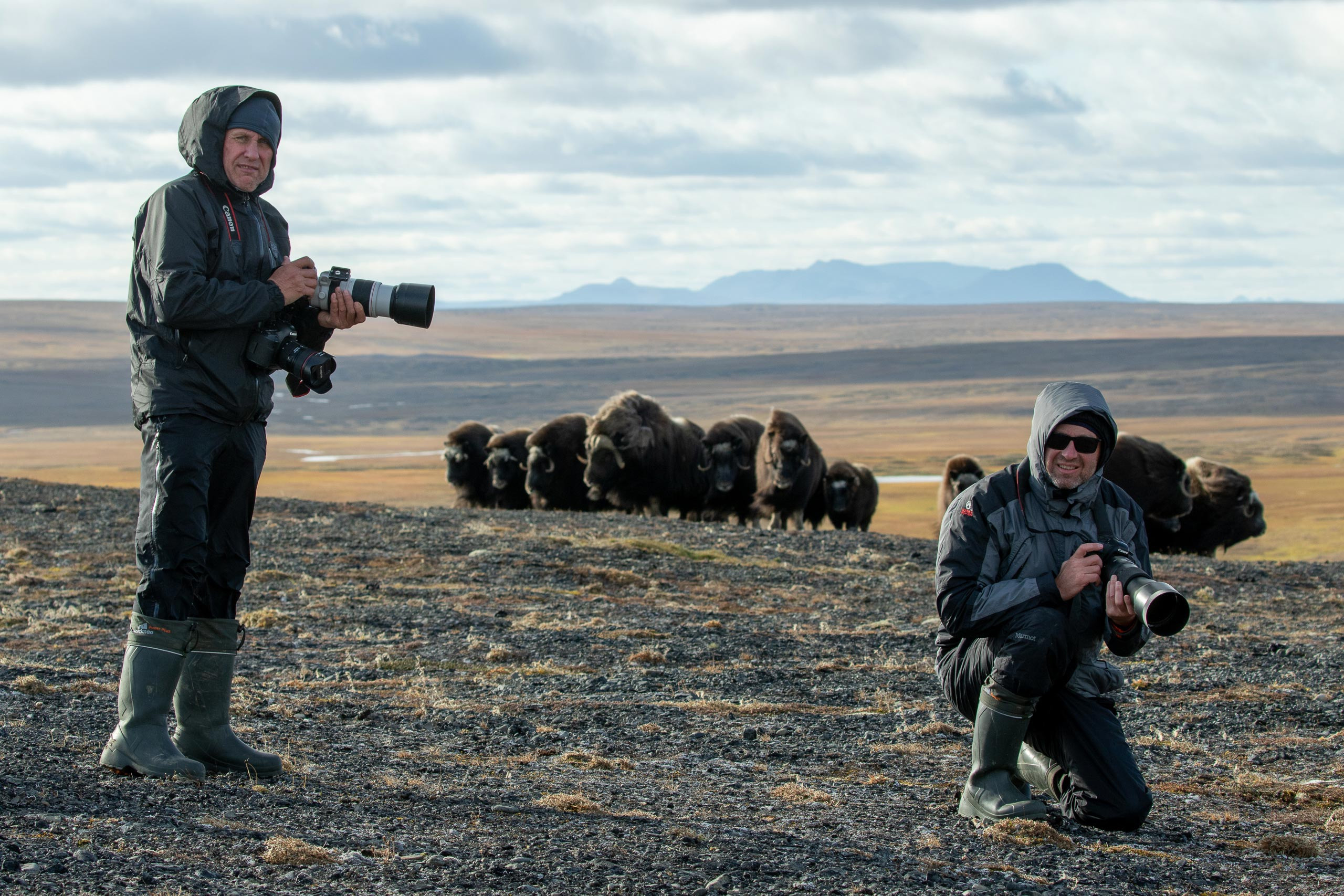 Таймыр. Wildlife Ride — организация фототуров и экспедиций