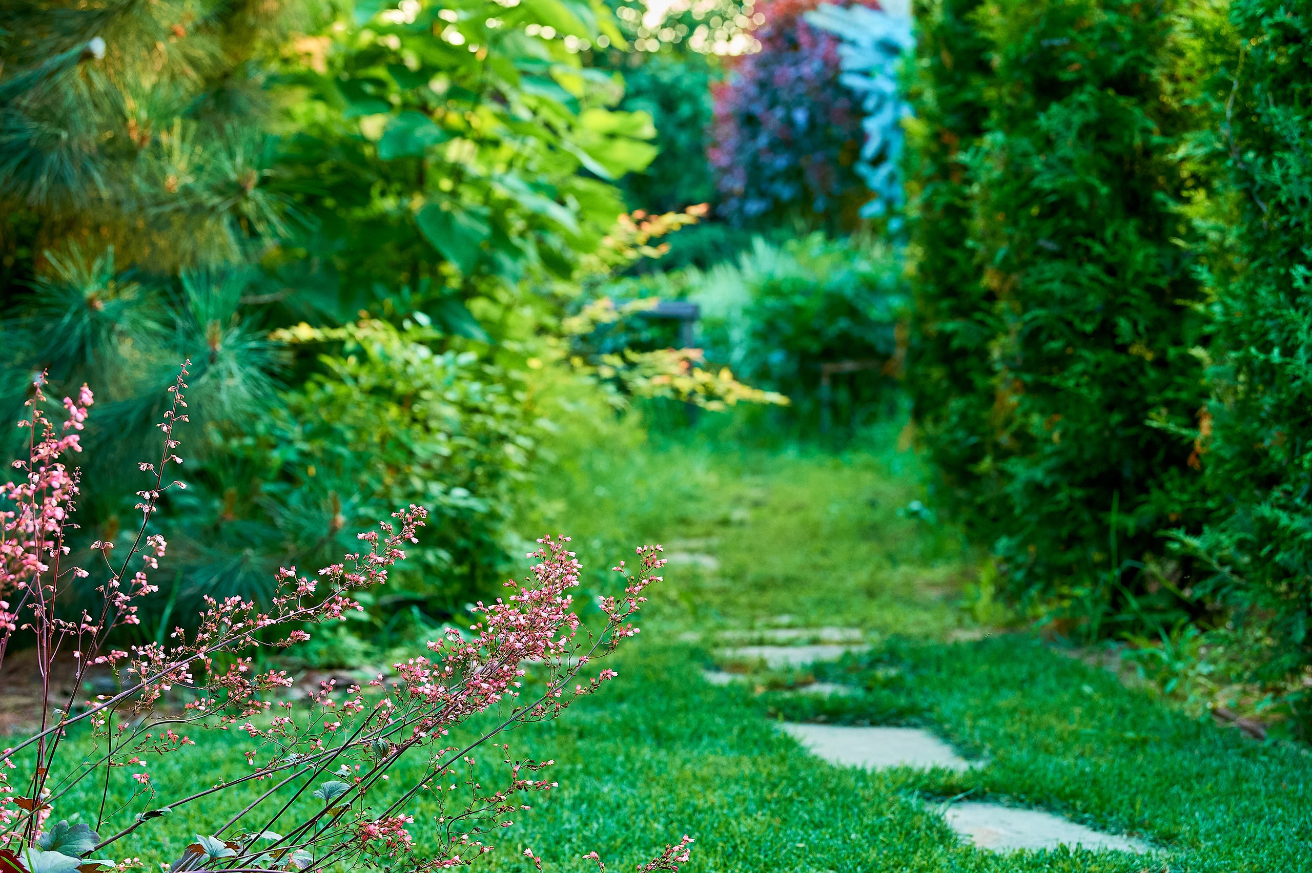 Фотосъёмка ландшафтных рабт