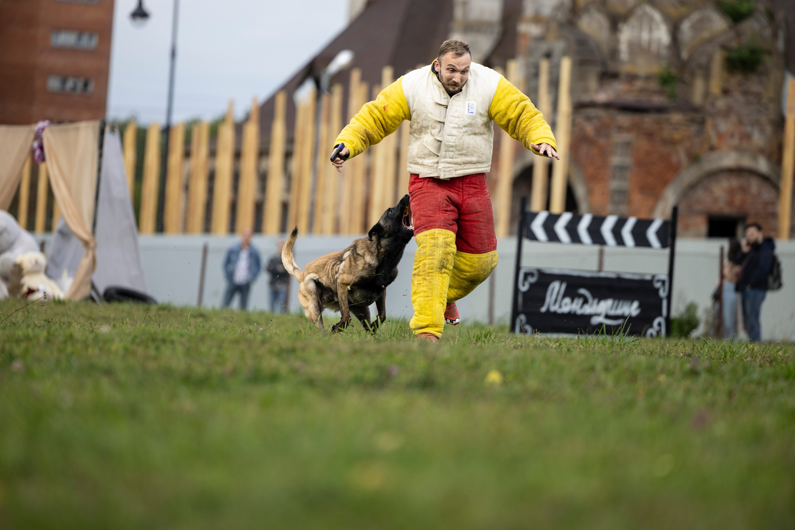 Испытания по Мондьорингу г. Пушкин. Фотограф-анималист Анна Маринич